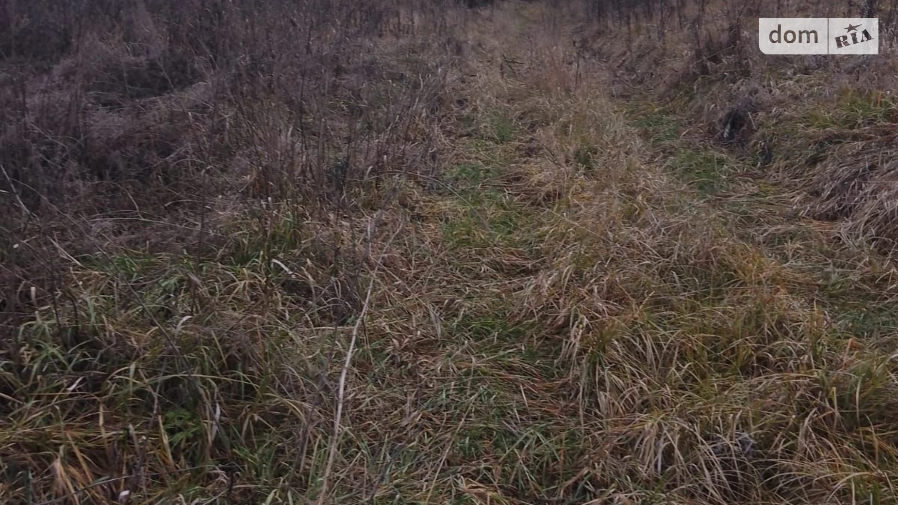 Малая Ольшанка (Белая Церковь), цена: 1639 грн - фото 2