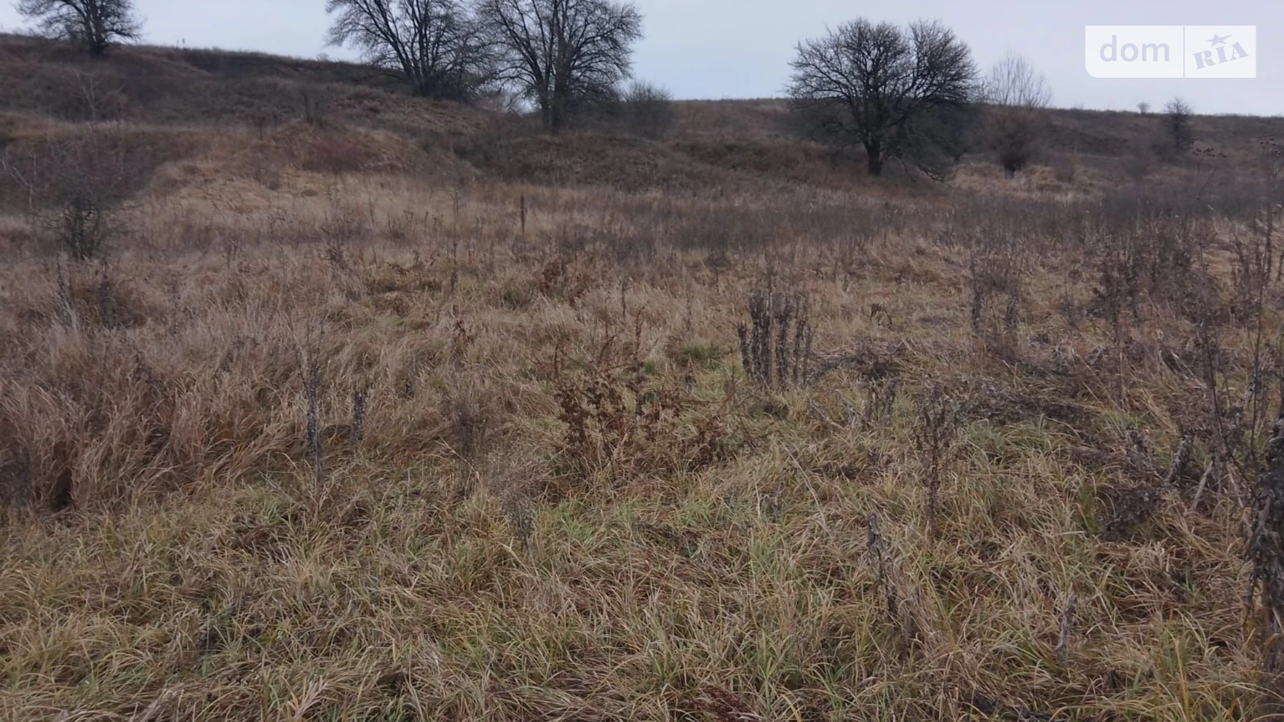 Малая Ольшанка (Белая Церковь), цена: 1940 грн - фото 3