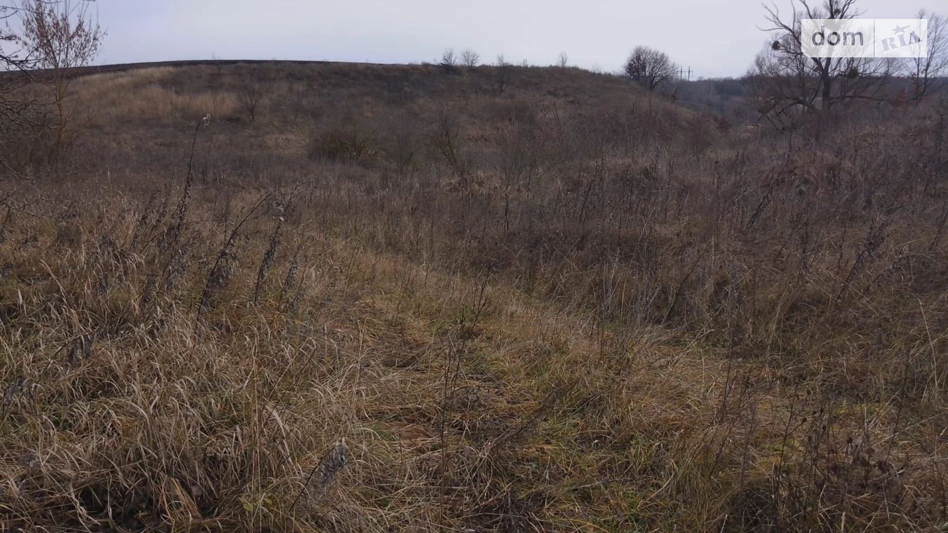 Малая Ольшанка (Белая Церковь), цена: 1639 грн - фото 3