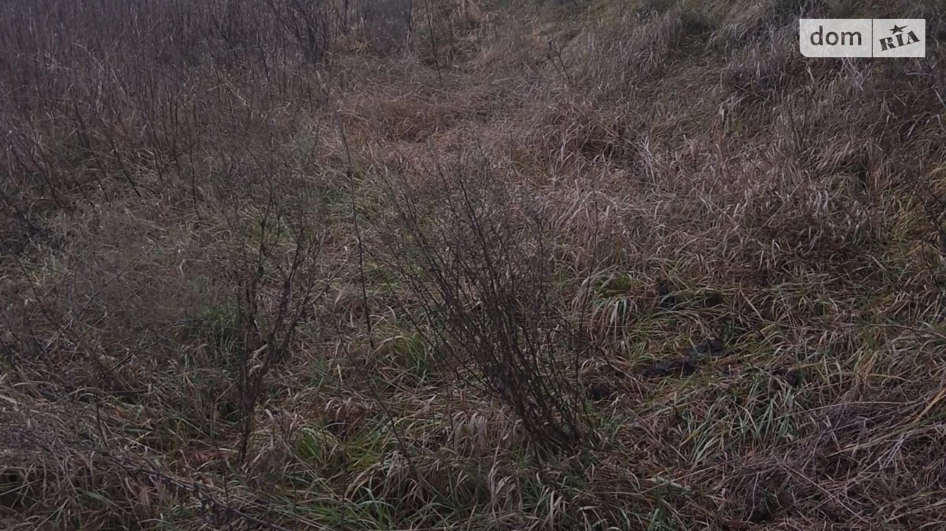 Малая Ольшанка (Белая Церковь), цена: 1639 грн - фото 4