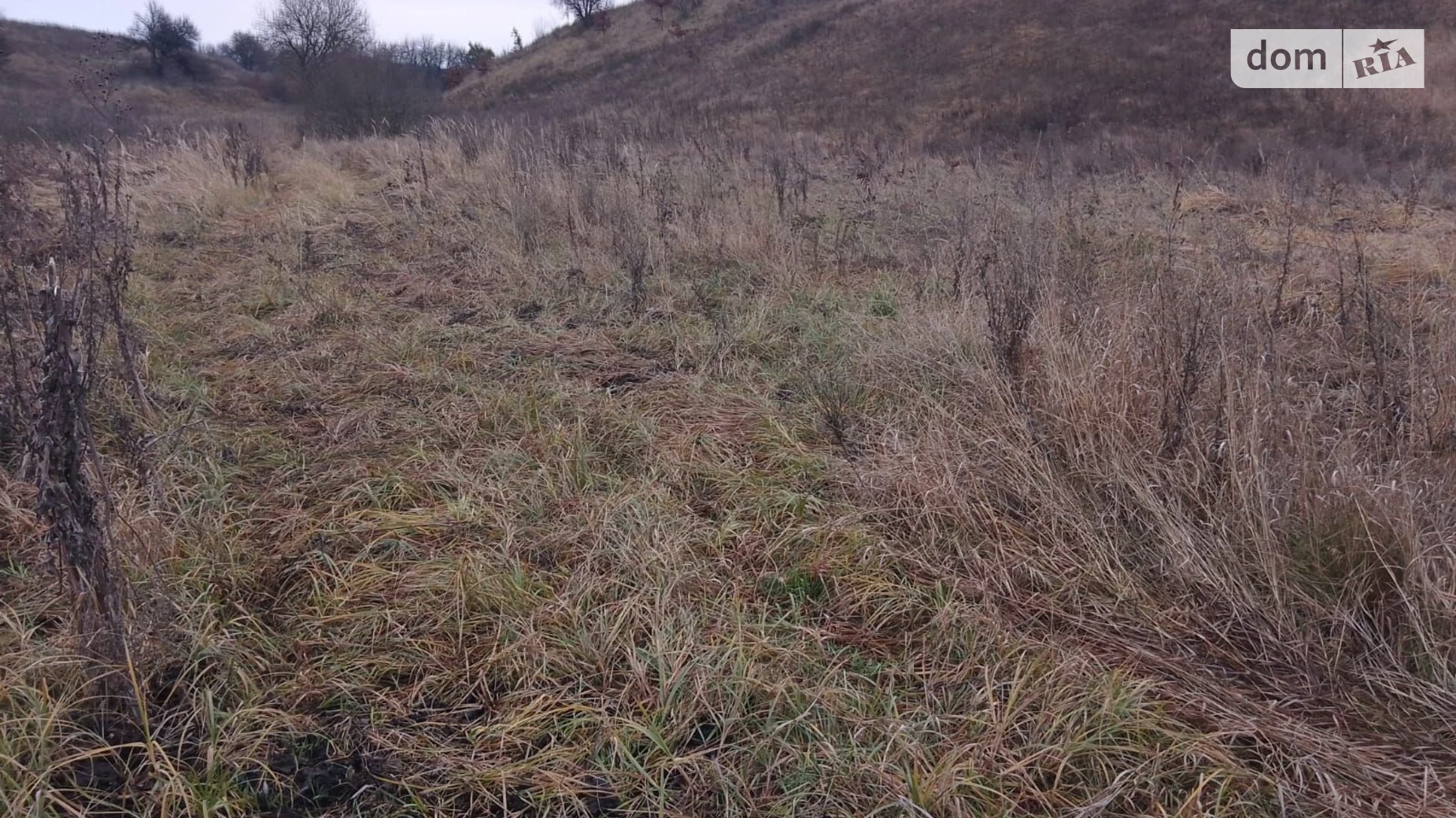 Малая Ольшанка (Белая Церковь), цена: 1940 грн - фото 5