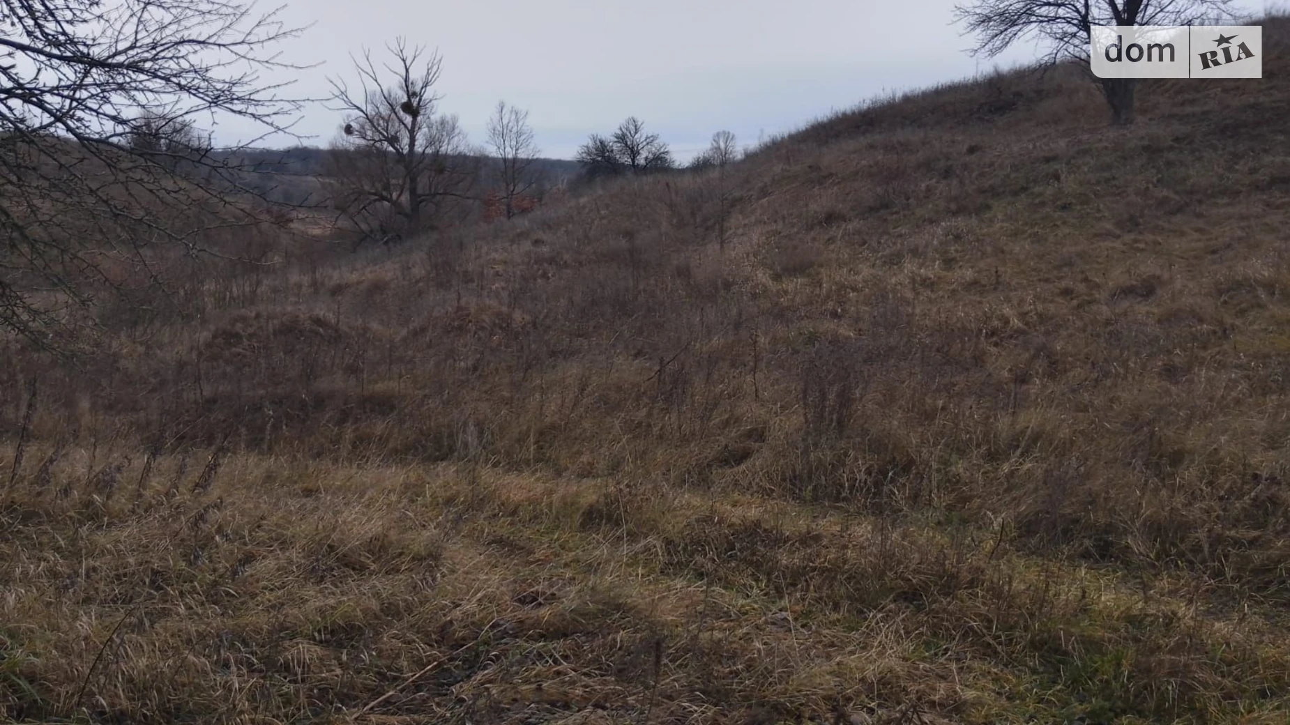 Малая Ольшанка (Белая Церковь), цена: 1639 грн - фото 5