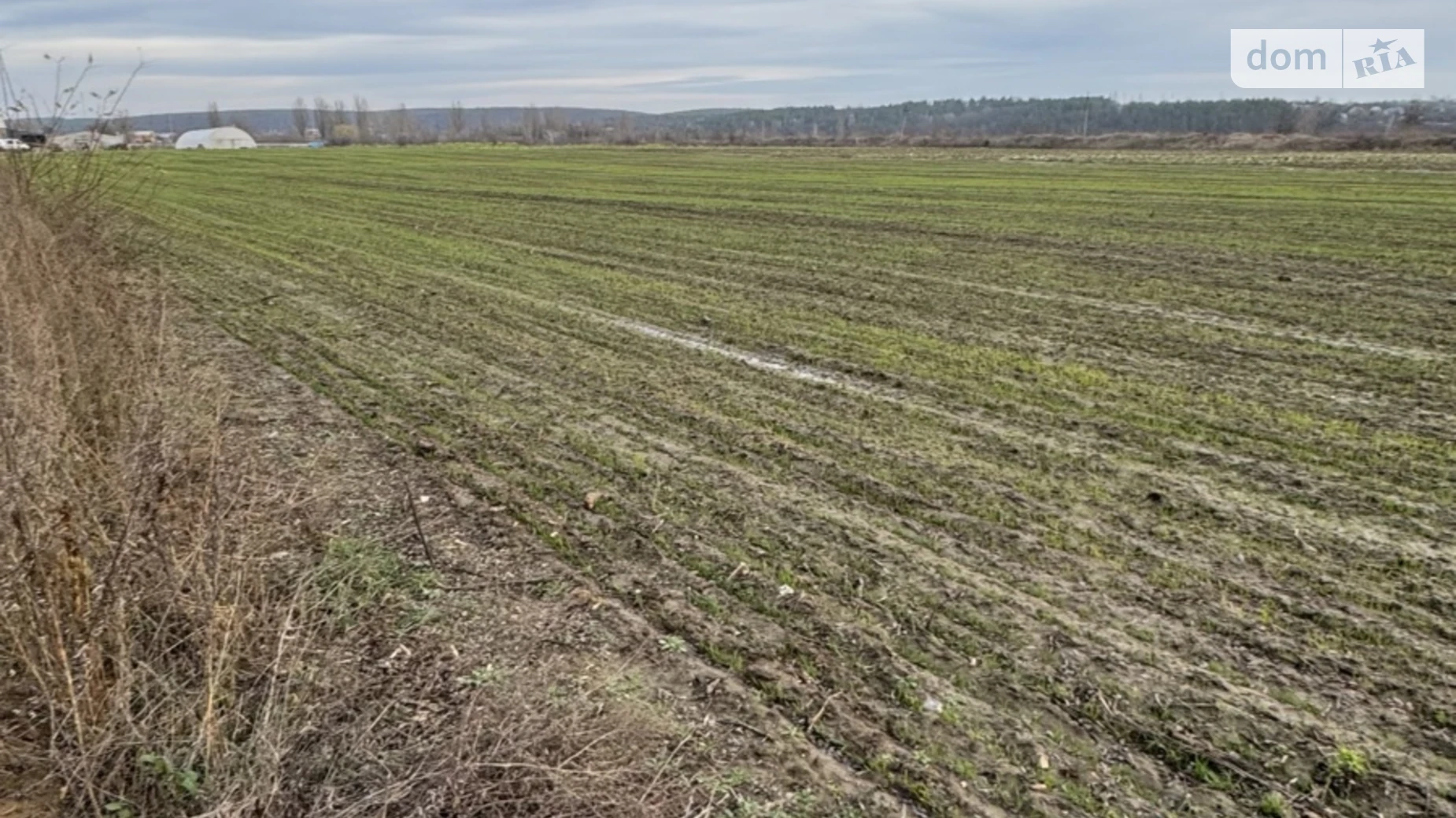 Продається земельна ділянка 10 соток у Вінницькій області, цена: 41000 $ - фото 4