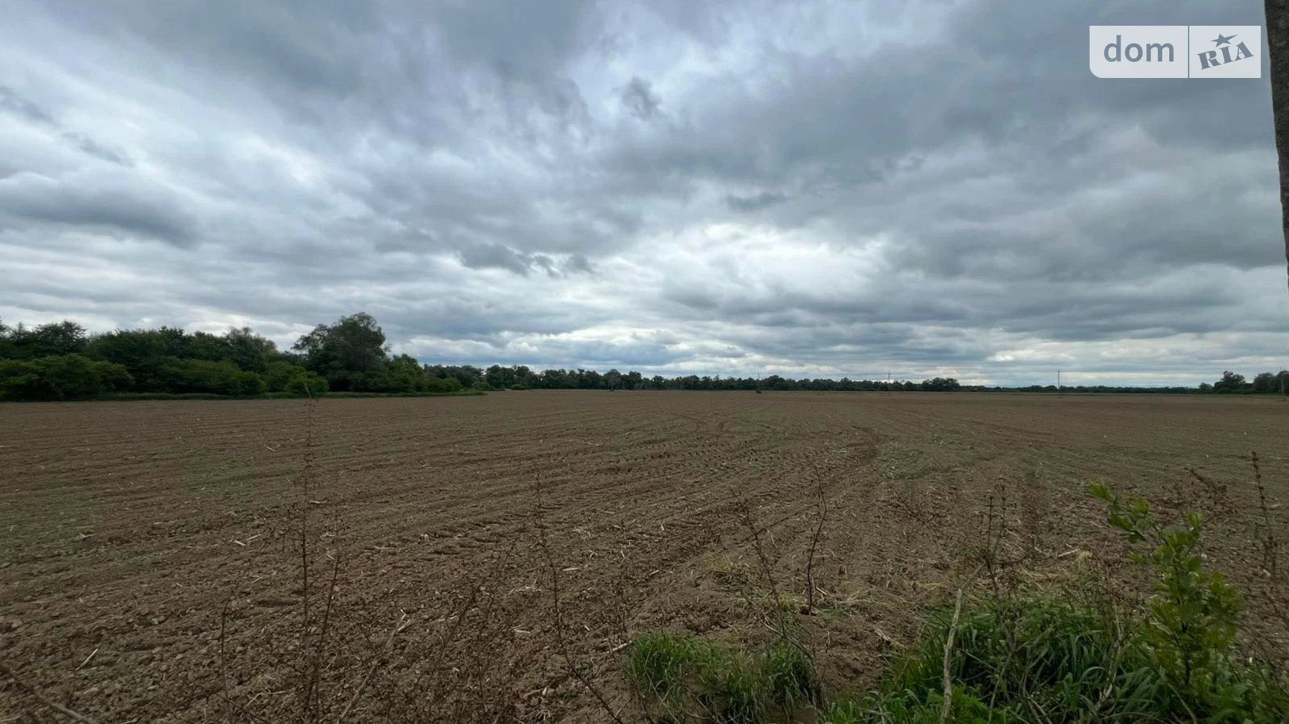 Бережница, цена: 50226 грн - фото 3