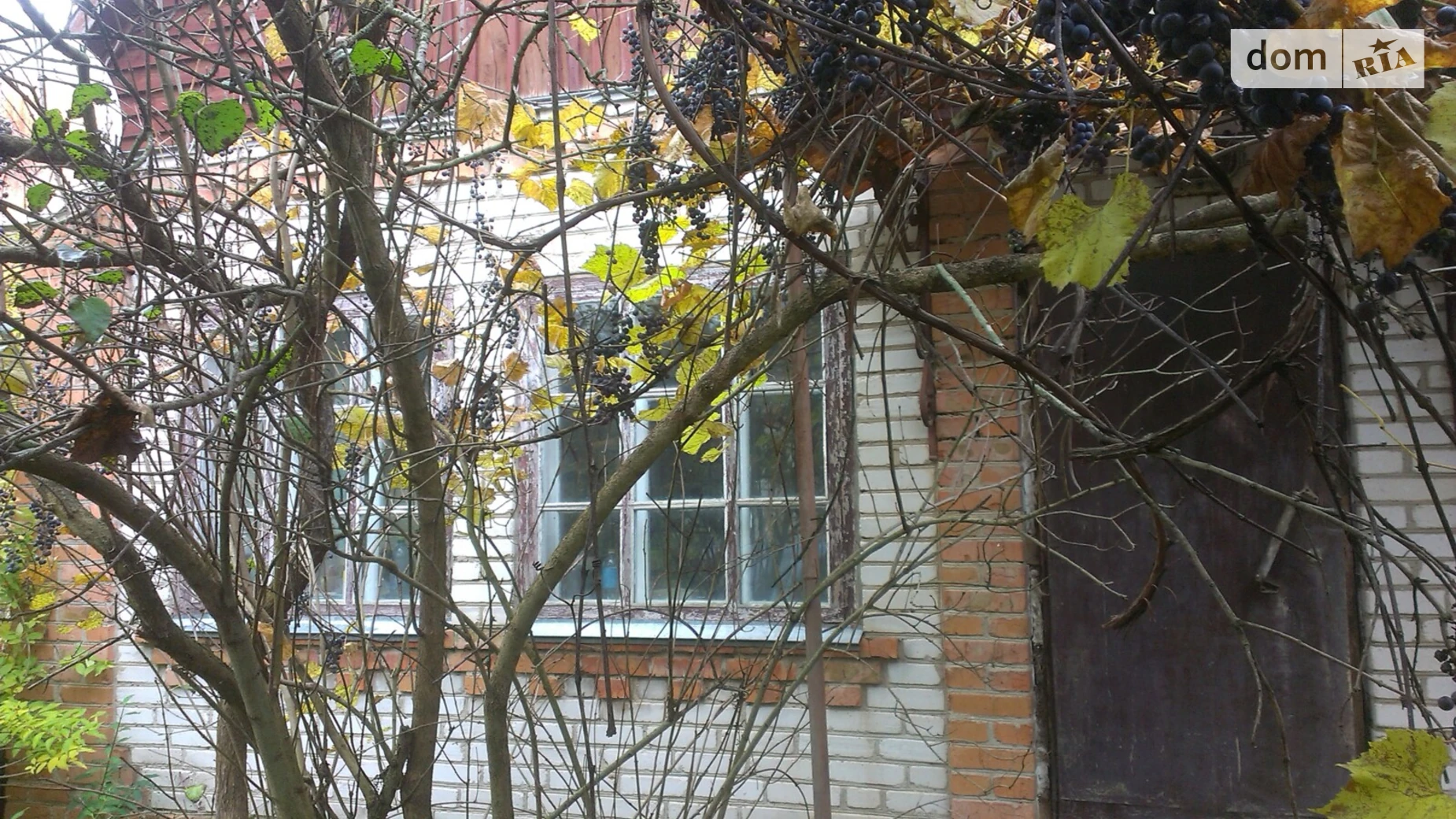 Продается дом на 2 этажа 60 кв. м с беседкой, цена: 15000 $ - фото 2