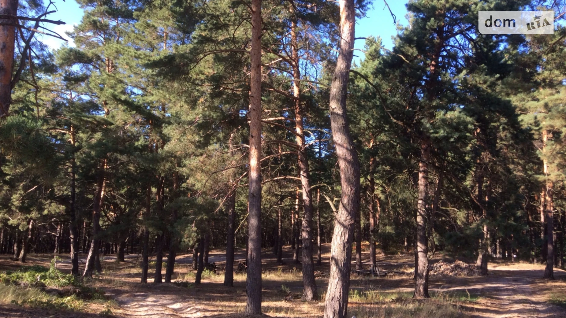 Продается земельный участок 22.41 соток в Киевской области, цена: 36000 $ - фото 5