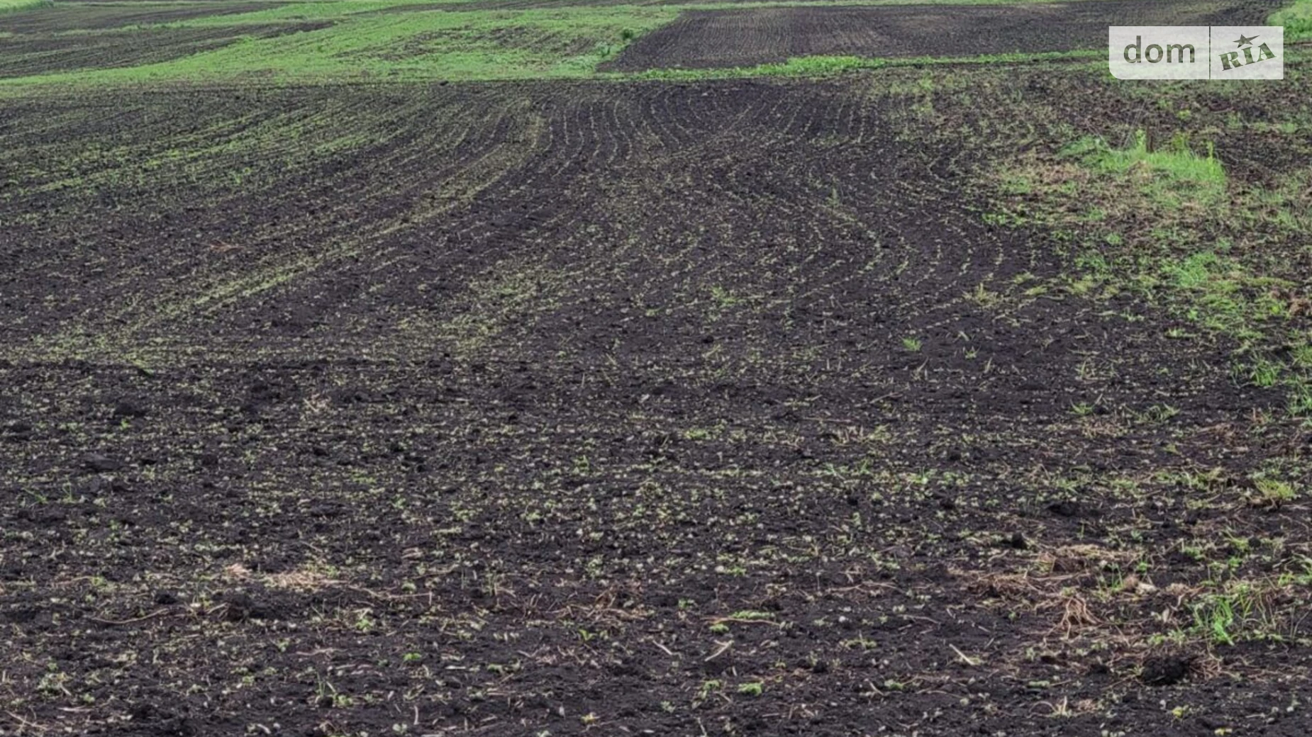 Продается земельный участок 20 соток в Тернопольской области, цена: 30000 $ - фото 2