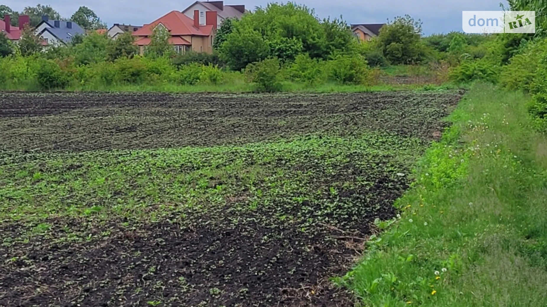 Продается земельный участок 20 соток в Тернопольской области, цена: 30000 $ - фото 3