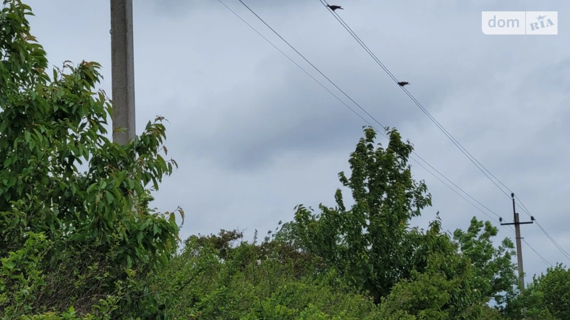 Продается земельный участок 20 соток в Тернопольской области, цена: 30000 $ - фото 4