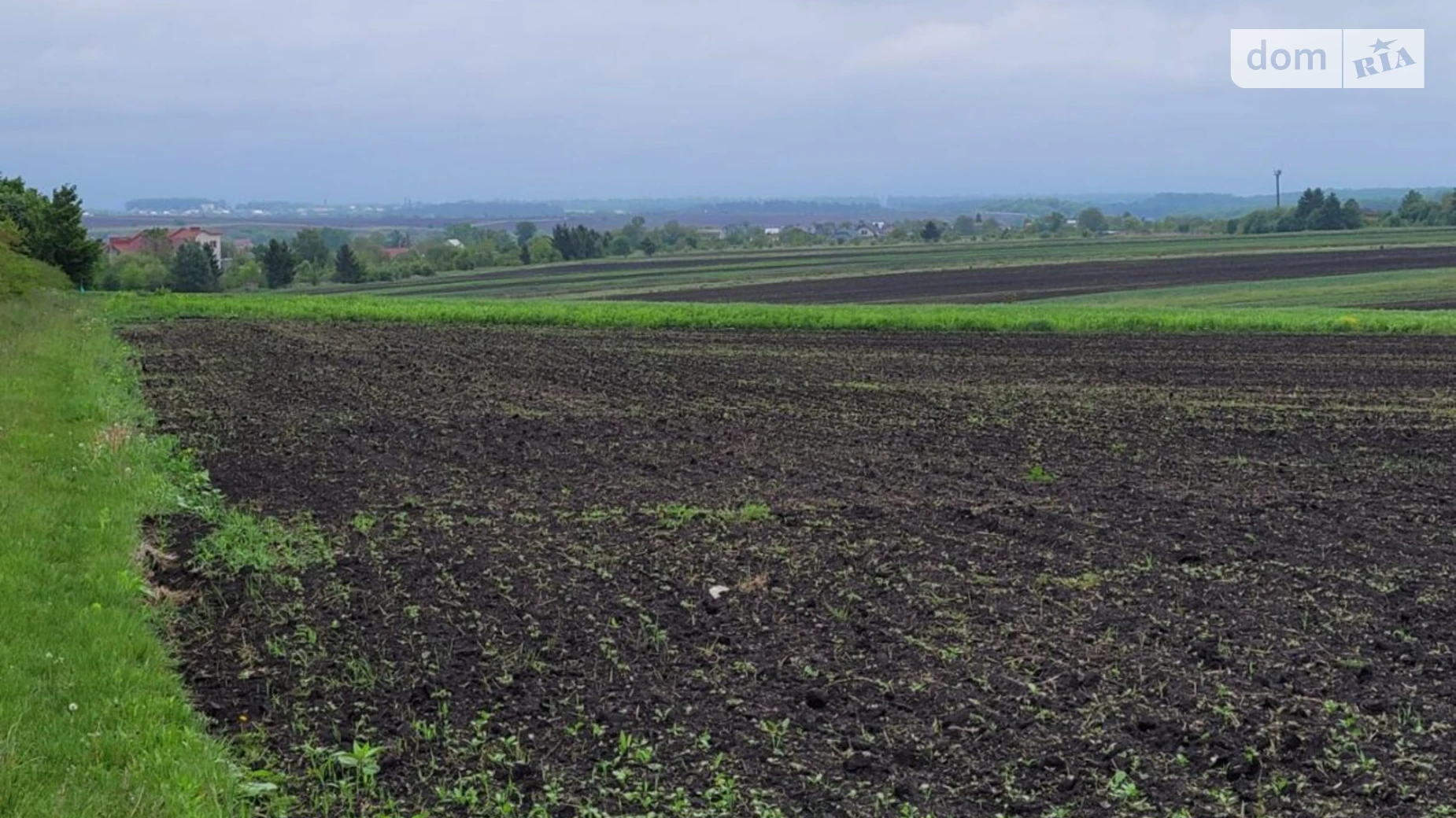 Продается земельный участок 20 соток в Тернопольской области, цена: 30000 $ - фото 5