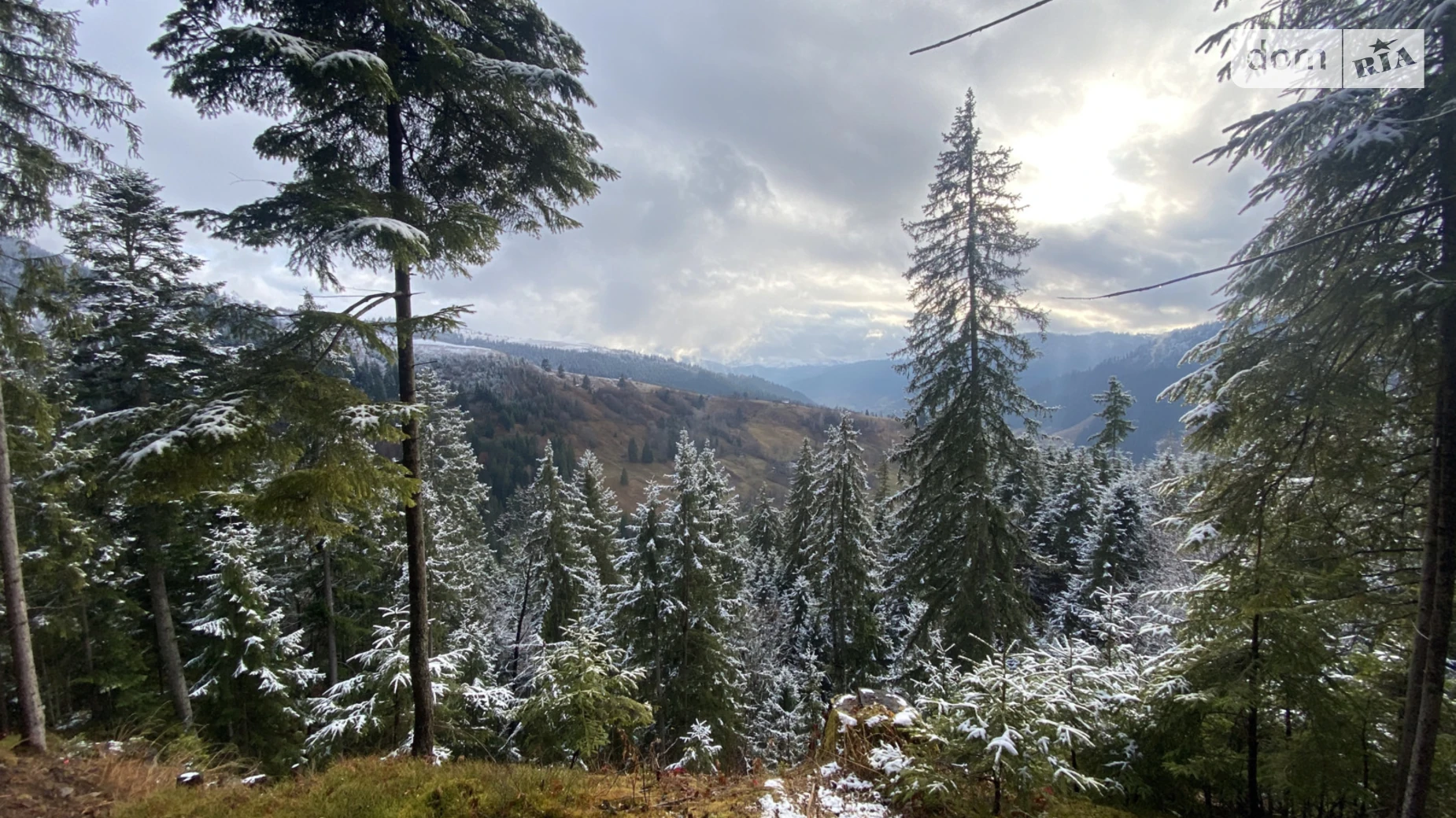 Верхний Ясенов, цена: 240000 $ - фото 2