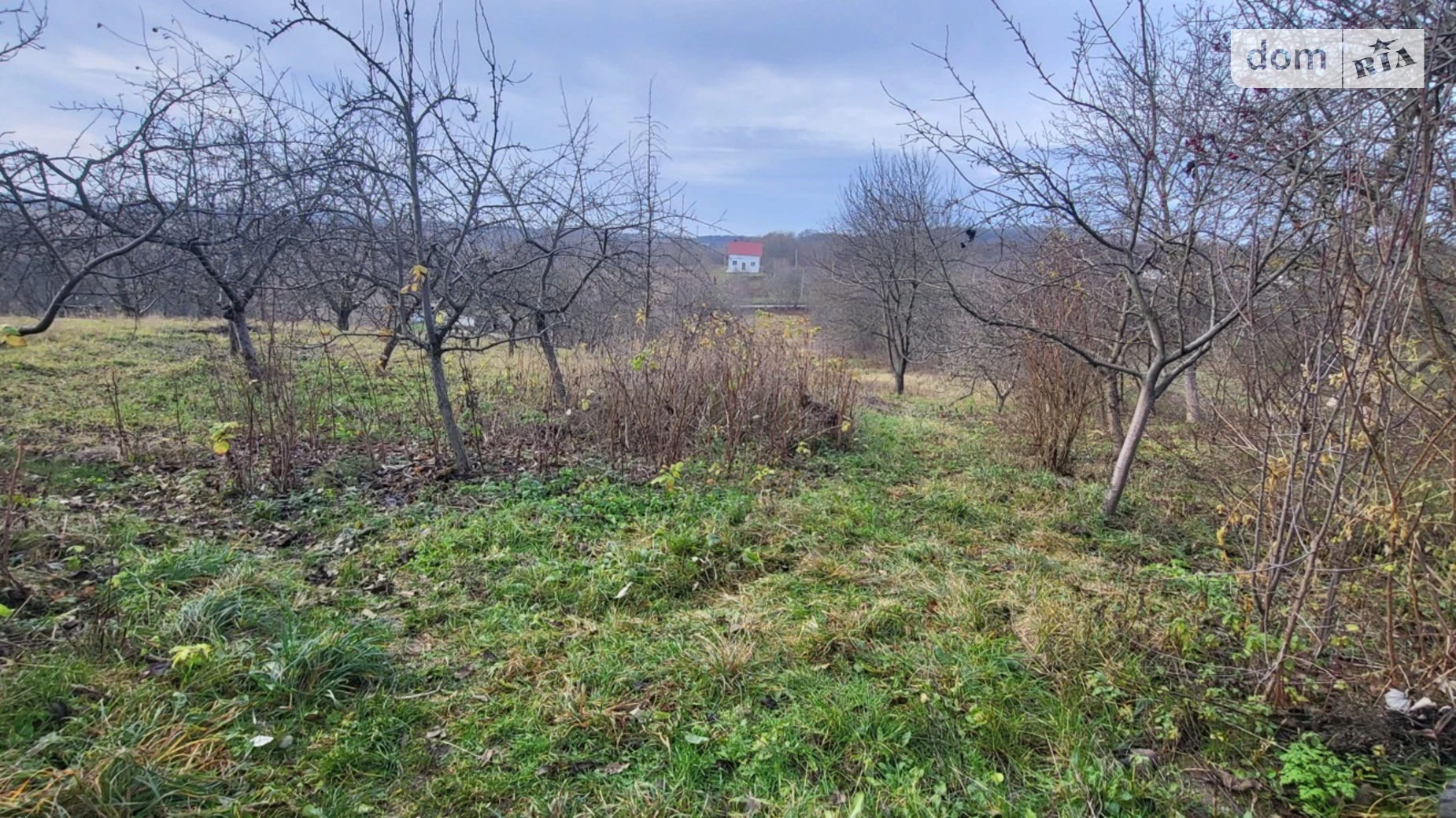 Продается земельный участок 60 соток в Винницкой области, цена: 62000 $ - фото 3