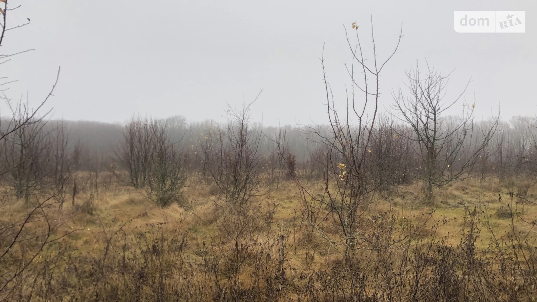 Продається земельна ділянка 6 соток у Вінницькій області, цена: 6000 $ - фото 5