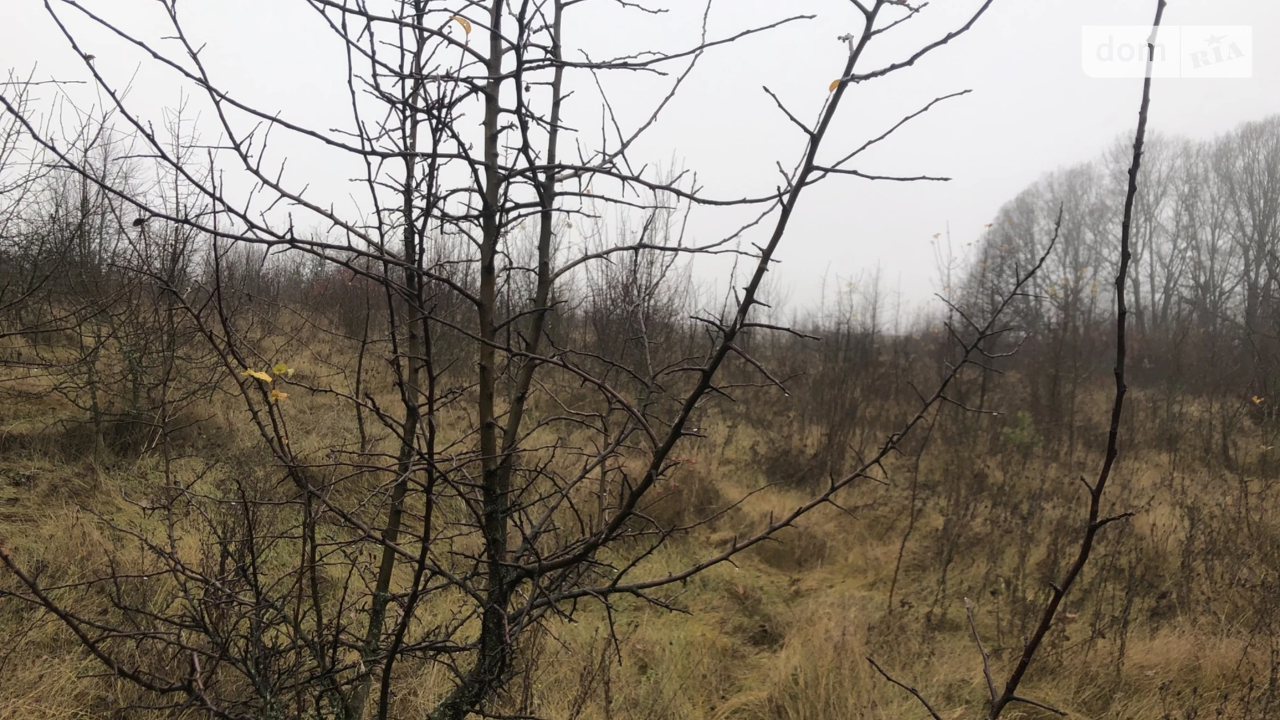 Продається земельна ділянка 6 соток у Вінницькій області, цена: 6000 $ - фото 4