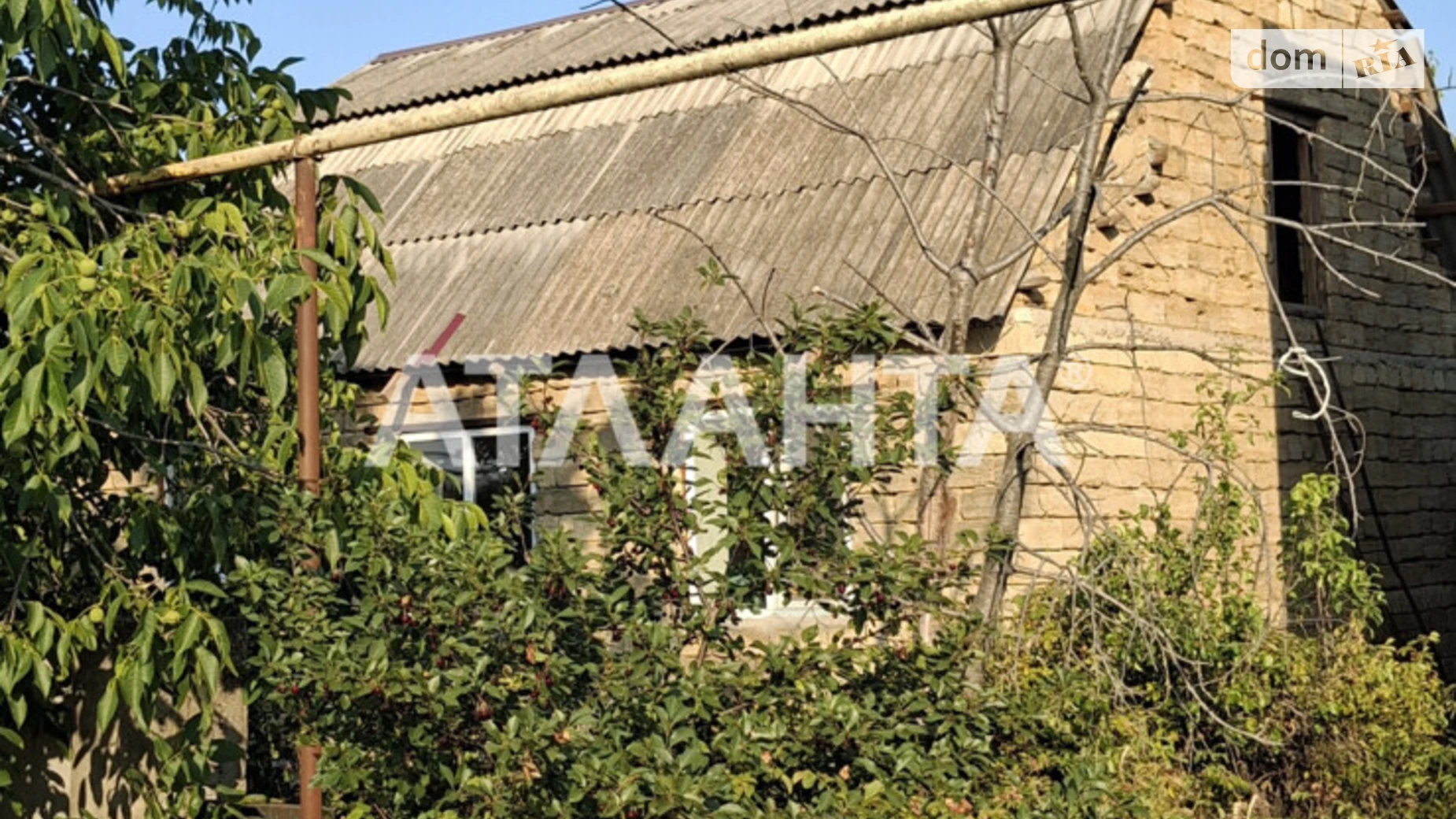 Степовая Дачне, цена: 25000 $ - фото 3