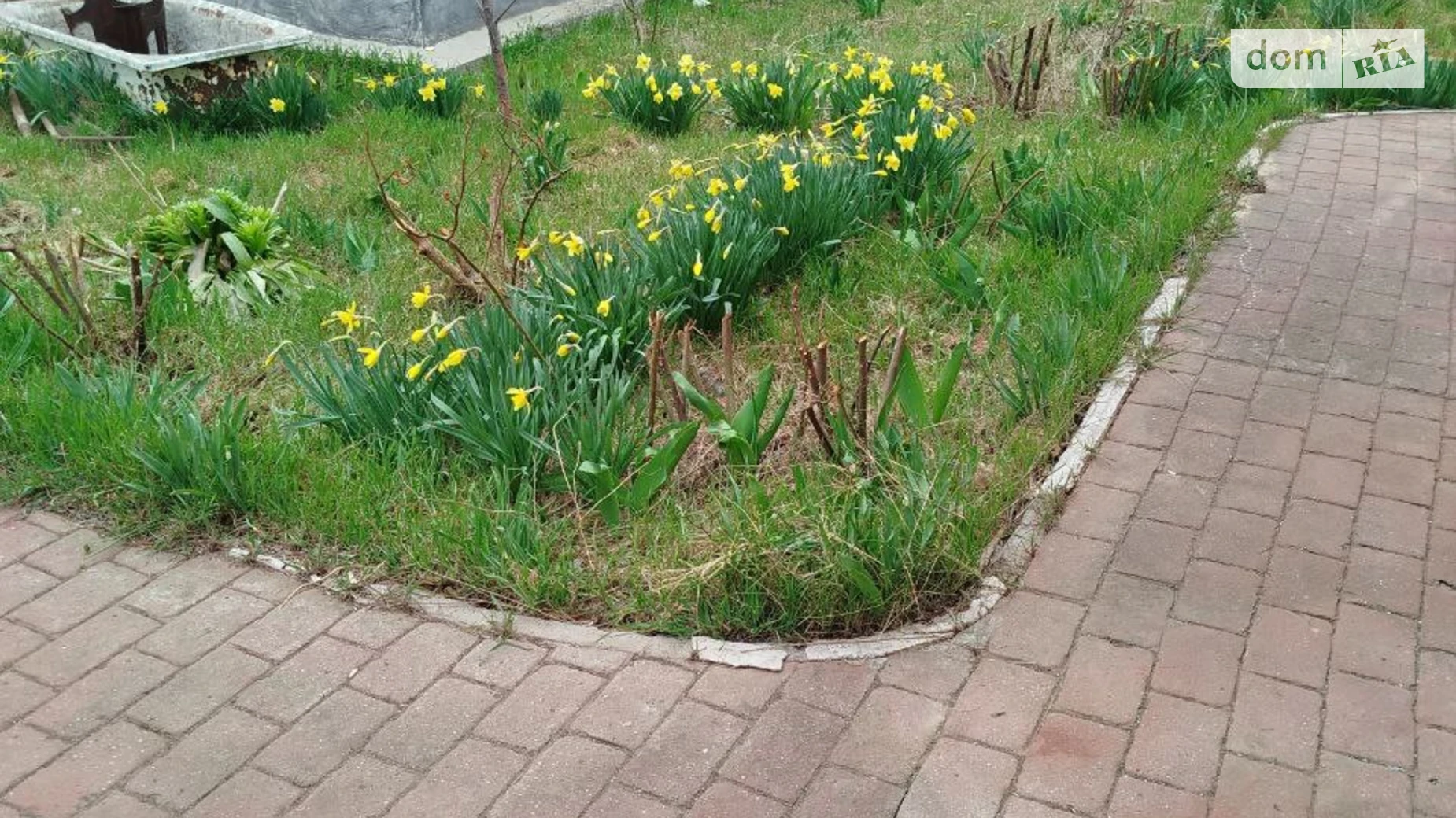 Продается дом на 2 этажа 160 кв. м с бассейном, цена: 27000 $ - фото 3