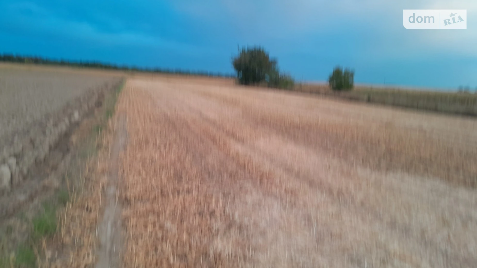 Продается земельный участок 36 соток в Винницкой области, цена: 13000 $ - фото 3