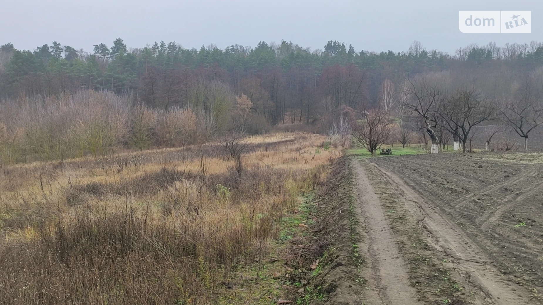 Продається одноповерховий будинок 26.5 кв. м с басейном, цена: 35000 $ - фото 3