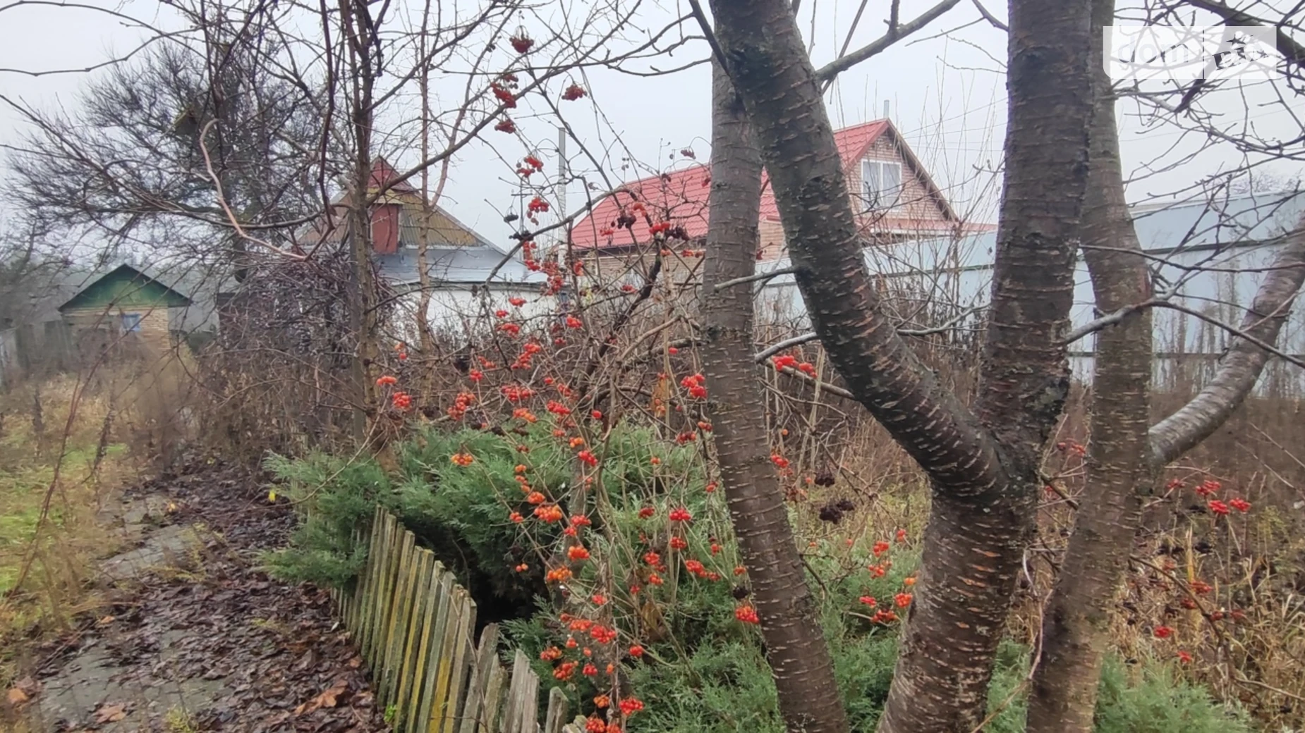 Продається одноповерховий будинок 26.5 кв. м с басейном, цена: 35000 $ - фото 5