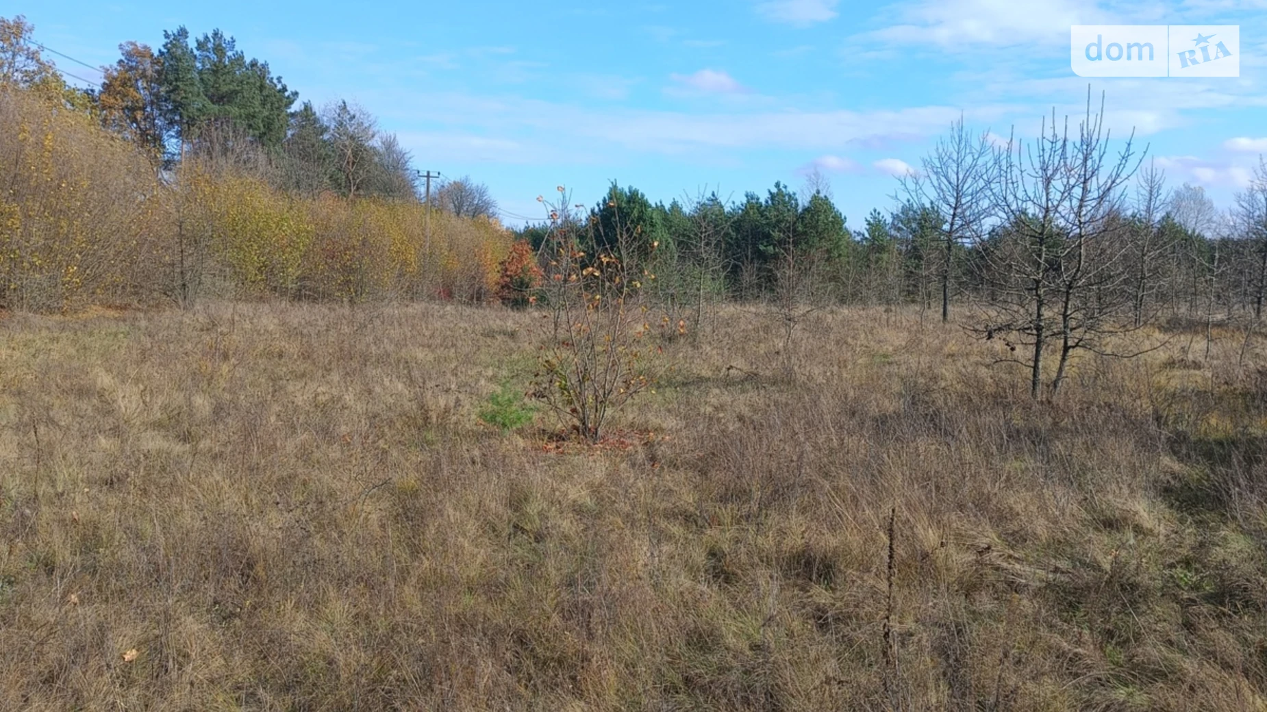 Продается земельный участок 10 соток в Черкасской области, цена: 5000 $ - фото 2