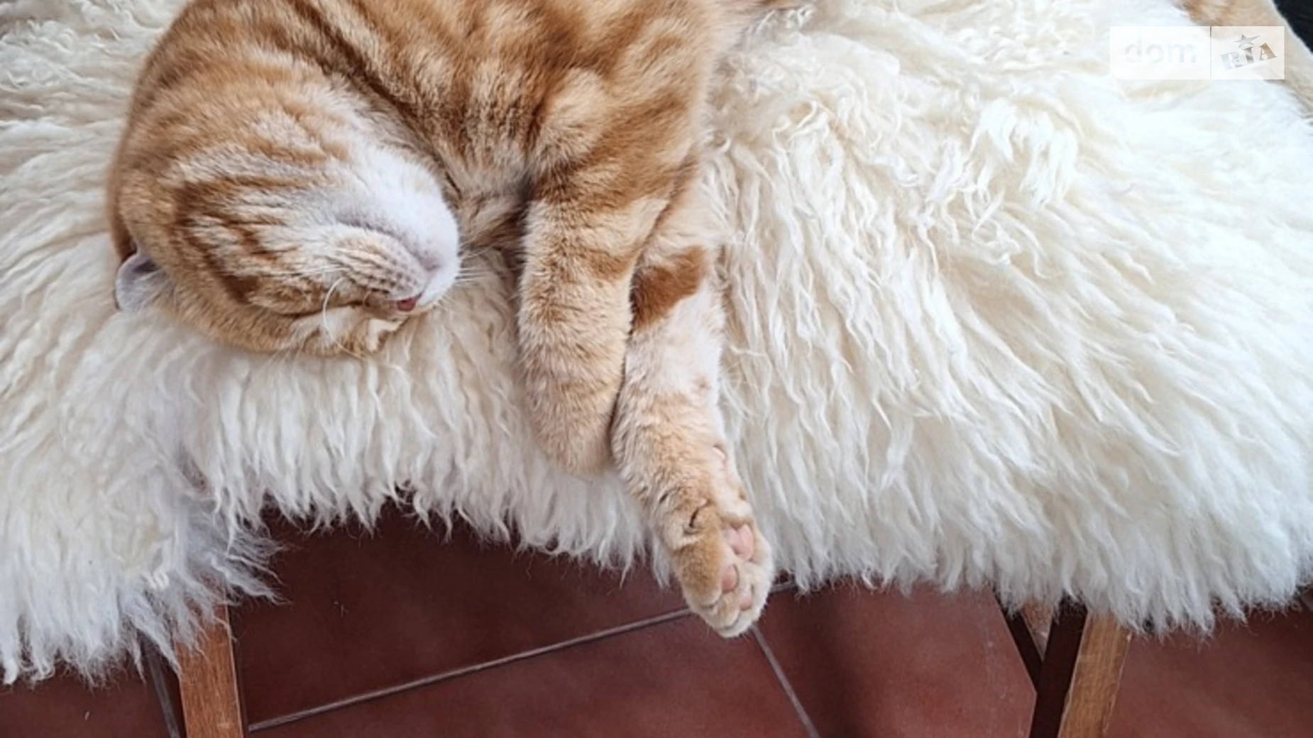 Здається в оренду кімната 16 кв. м у Вінниці, цена: 15000 грн - фото 5