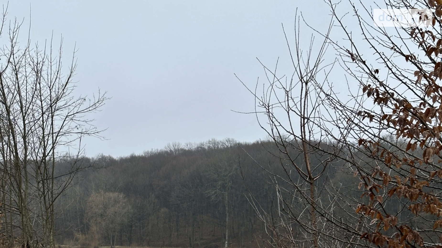 Продается земельный участок 20 соток в Винницкой области, цена: 25000 $ - фото 2