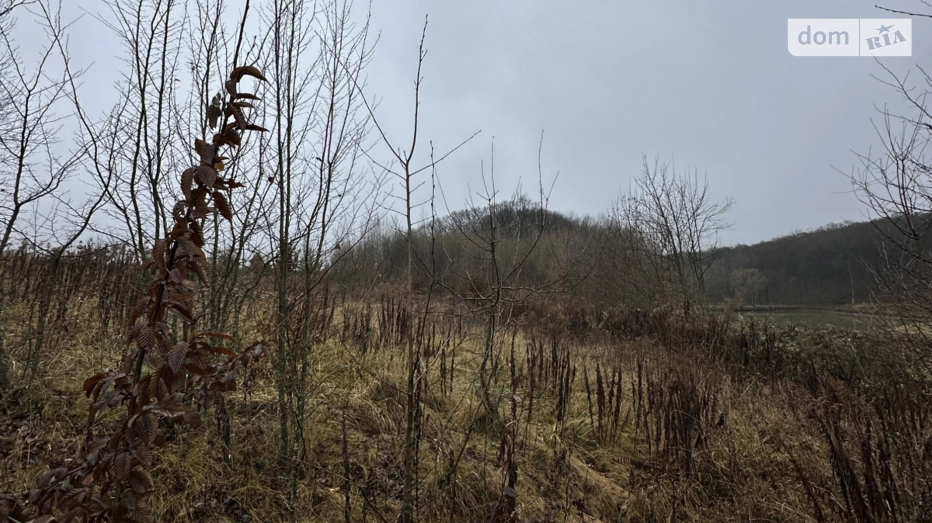Продается земельный участок 20 соток в Винницкой области, цена: 25000 $ - фото 3