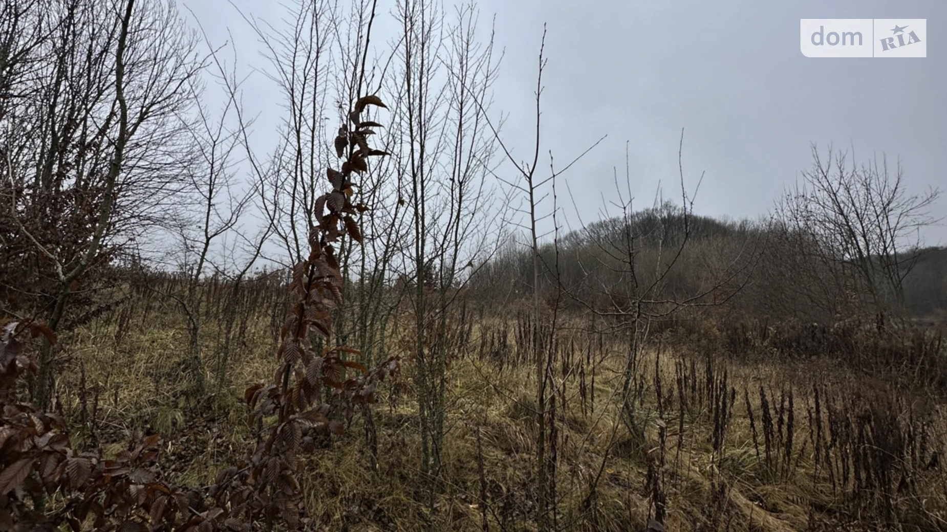 Продается земельный участок 20 соток в Винницкой области, цена: 25000 $ - фото 4