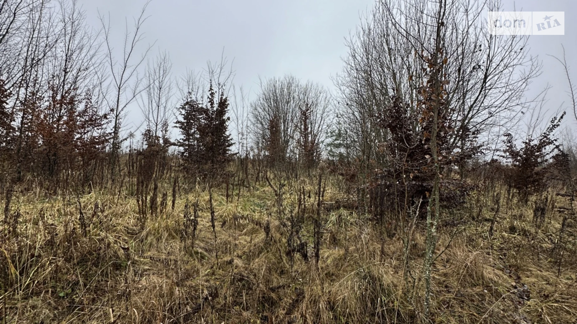 Продается земельный участок 20 соток в Винницкой области, цена: 25000 $ - фото 5
