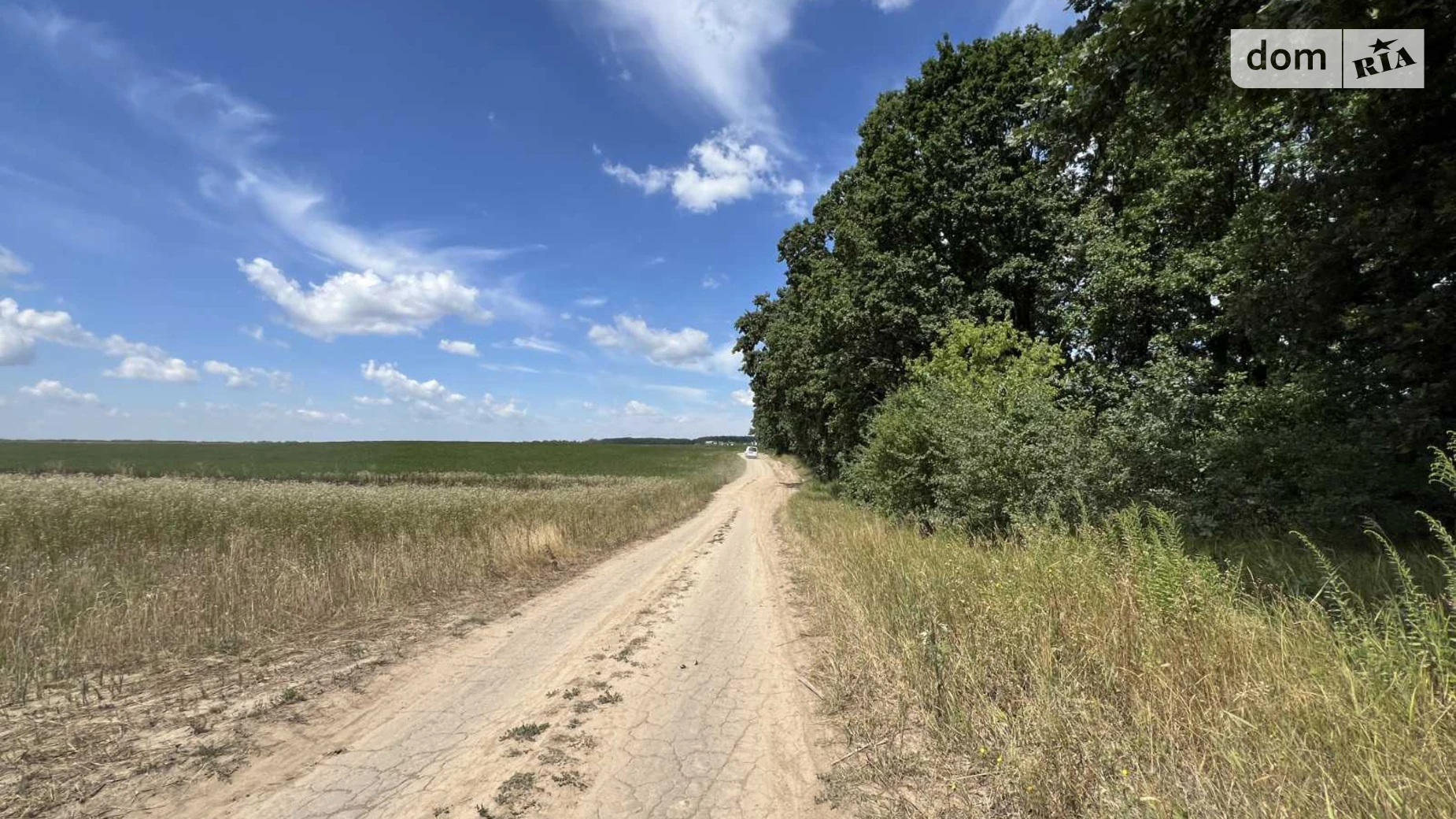 Продается земельный участок 12 соток в Винницкой области, цена: 25000 $ - фото 3