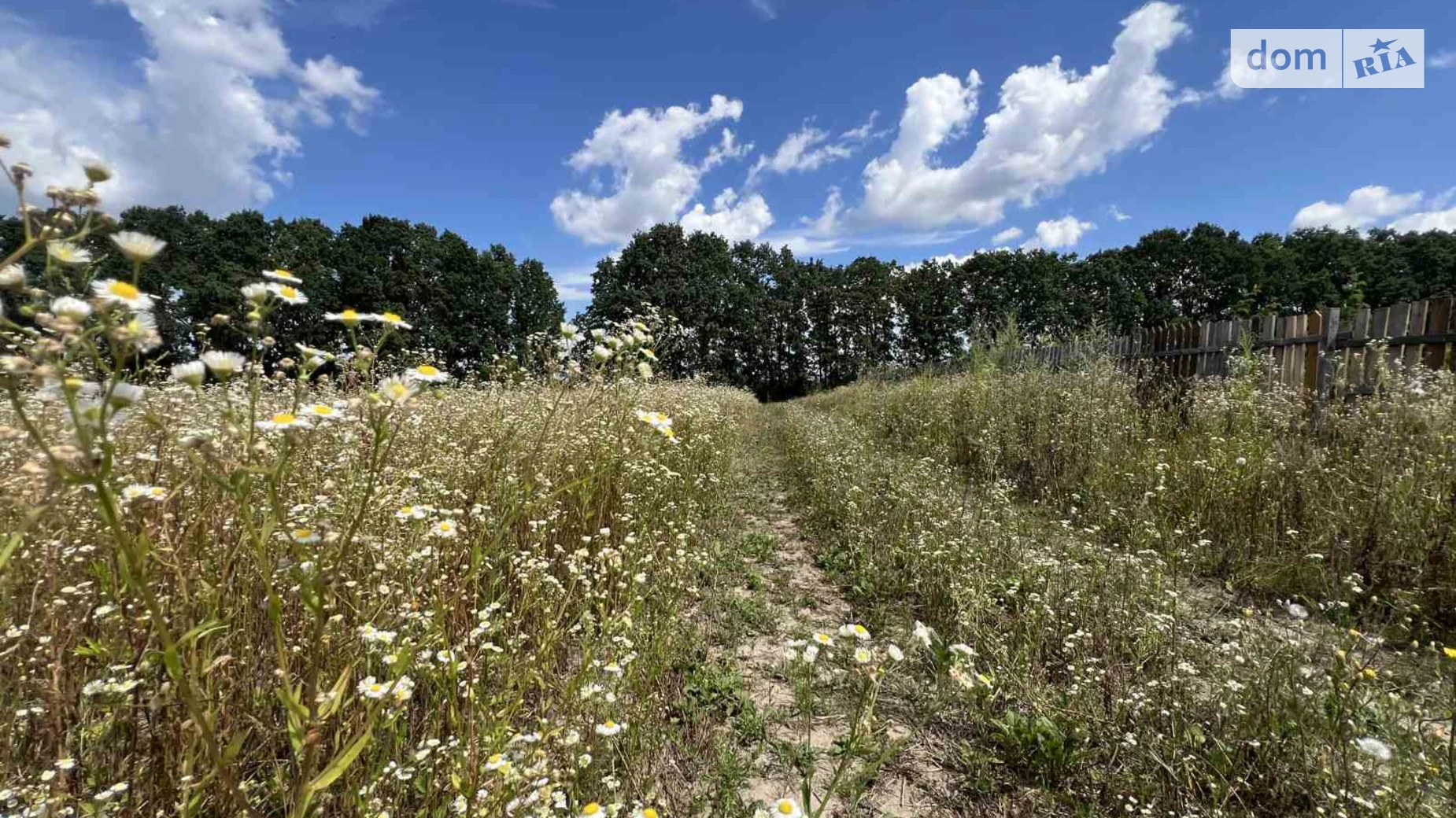 Продается земельный участок 12 соток в Винницкой области, цена: 25000 $ - фото 5