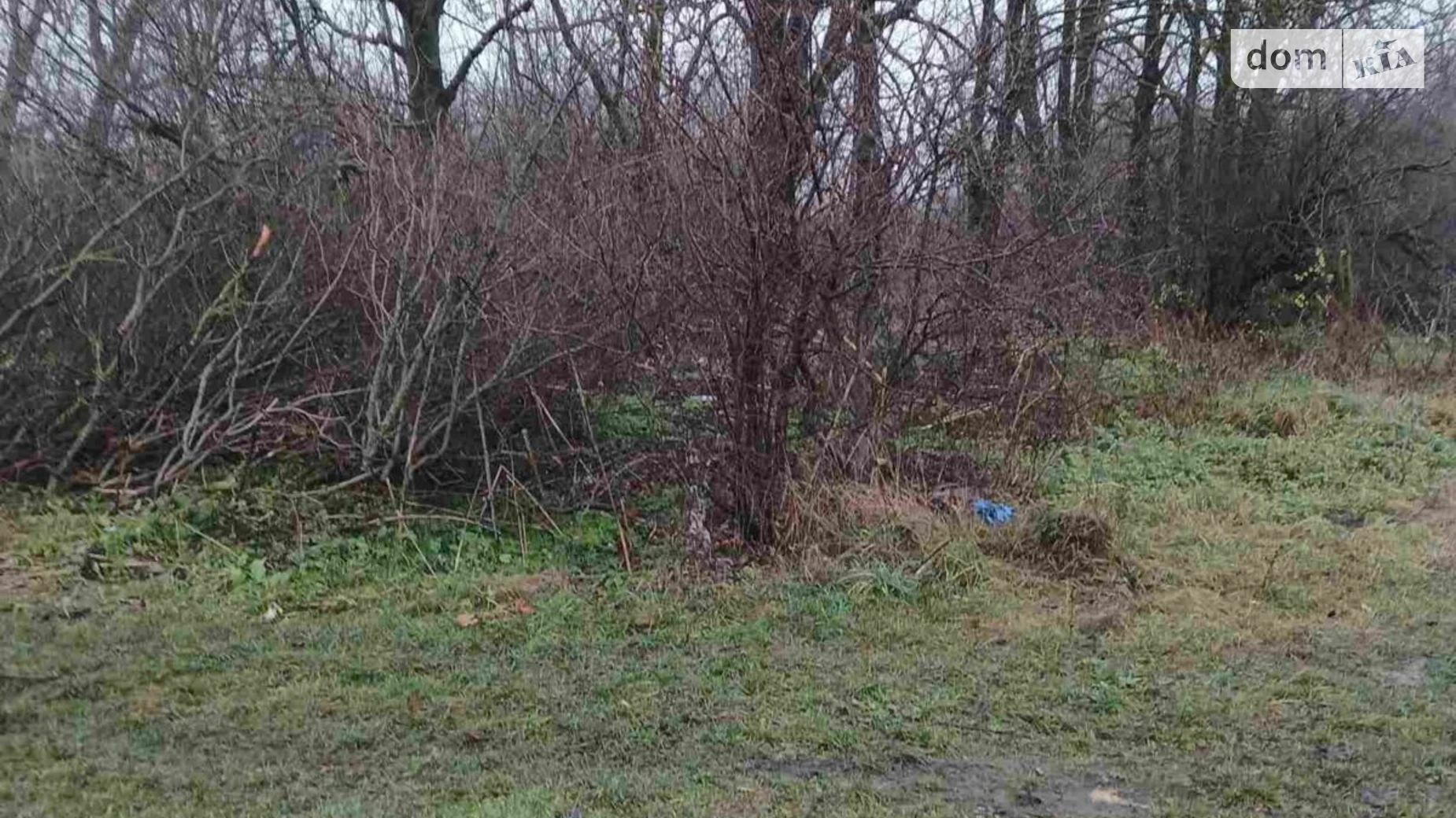 Сдается в аренду земельный участок 2.2966 соток в Тернопольской области, цена: 11115 грн - фото 2