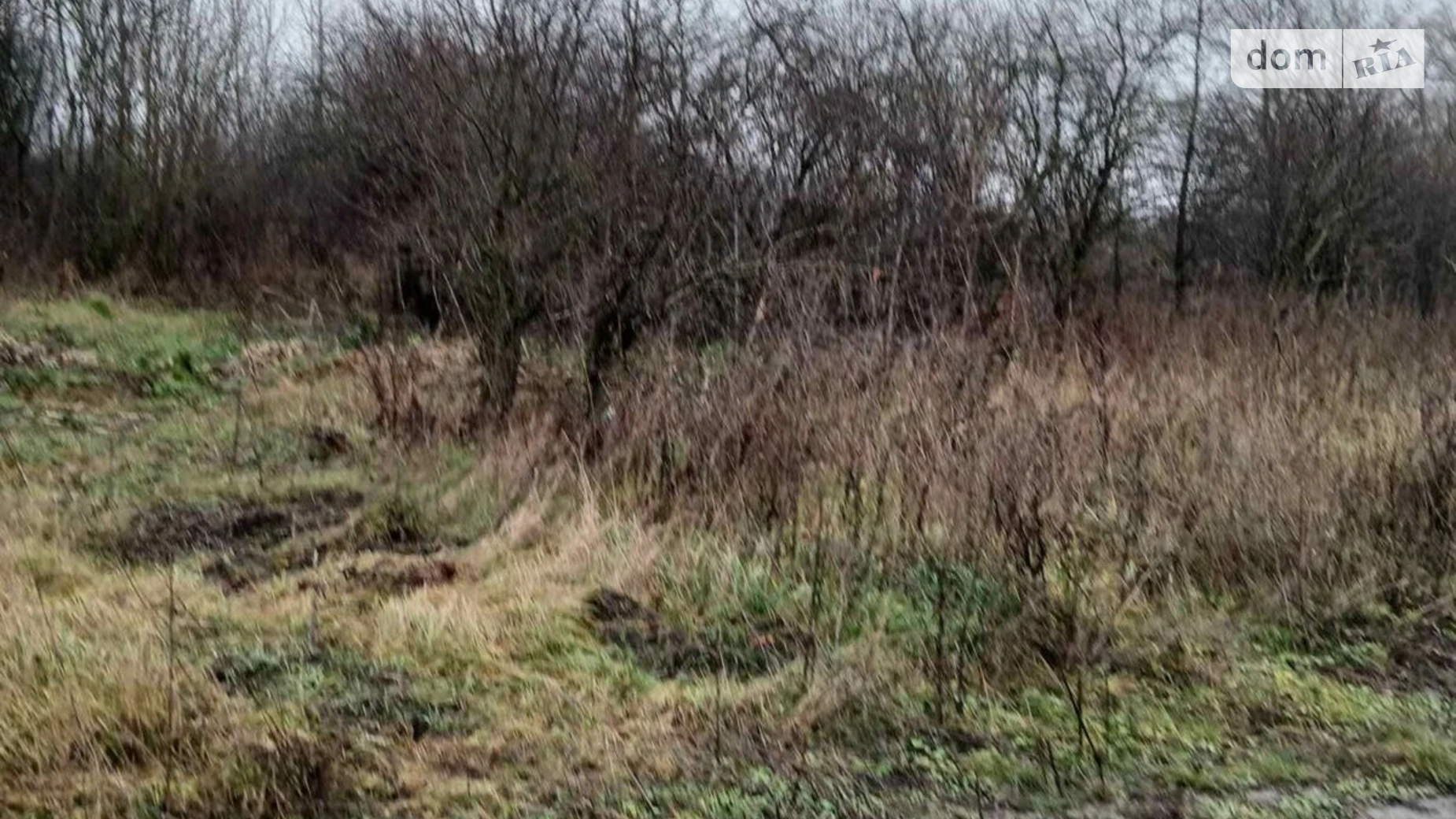 Сдается в аренду земельный участок 2.2966 соток в Тернопольской области, цена: 11115 грн - фото 3