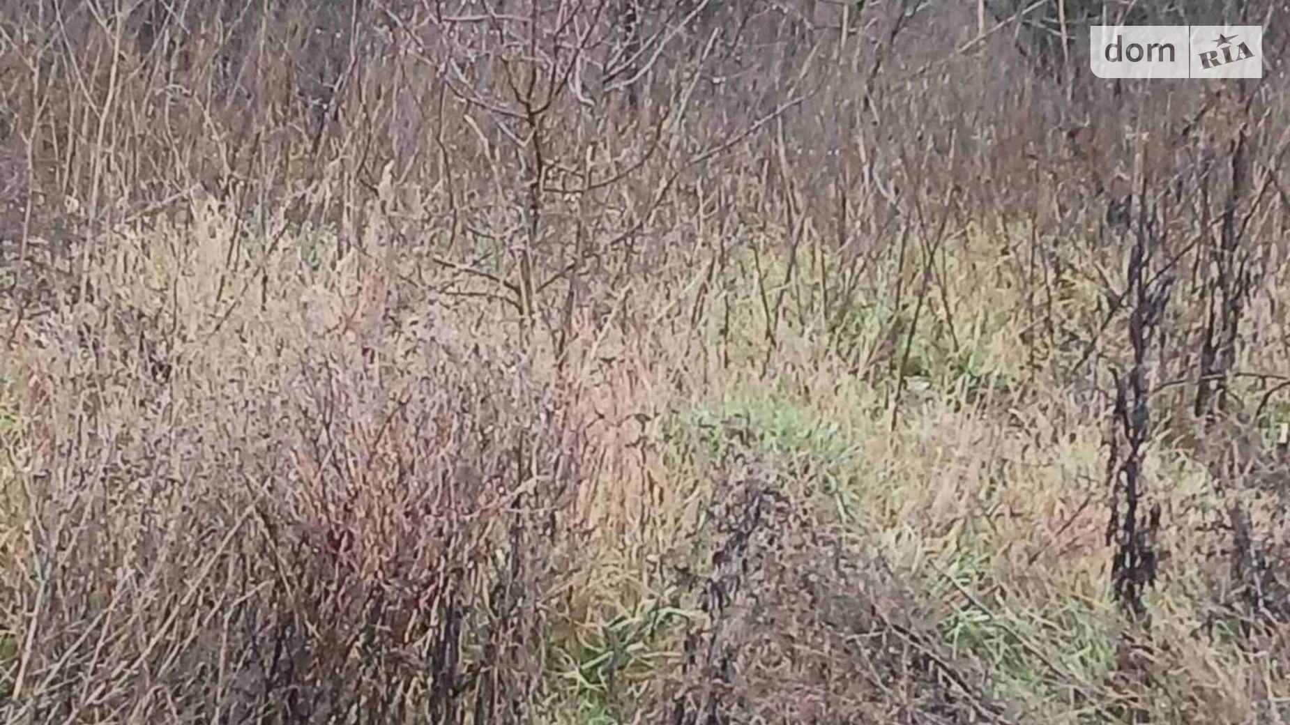 Сдается в аренду земельный участок 2.2966 соток в Тернопольской области, цена: 11115 грн - фото 4