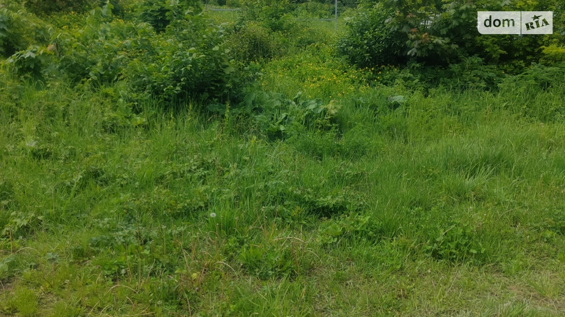 Продается земельный участок 10 соток в Винницкой области, цена: 52000 $ - фото 5
