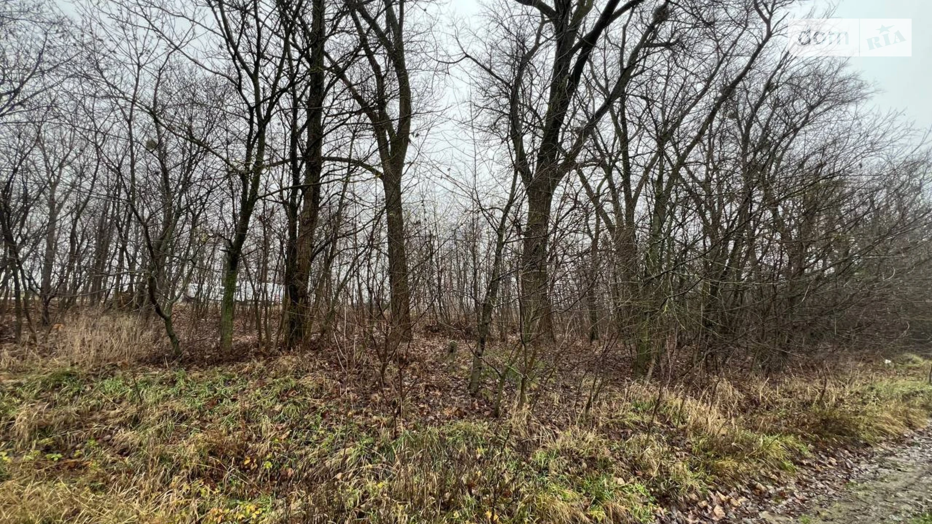 Продается земельный участок 6 соток в Винницкой области, цена: 25000 $ - фото 3