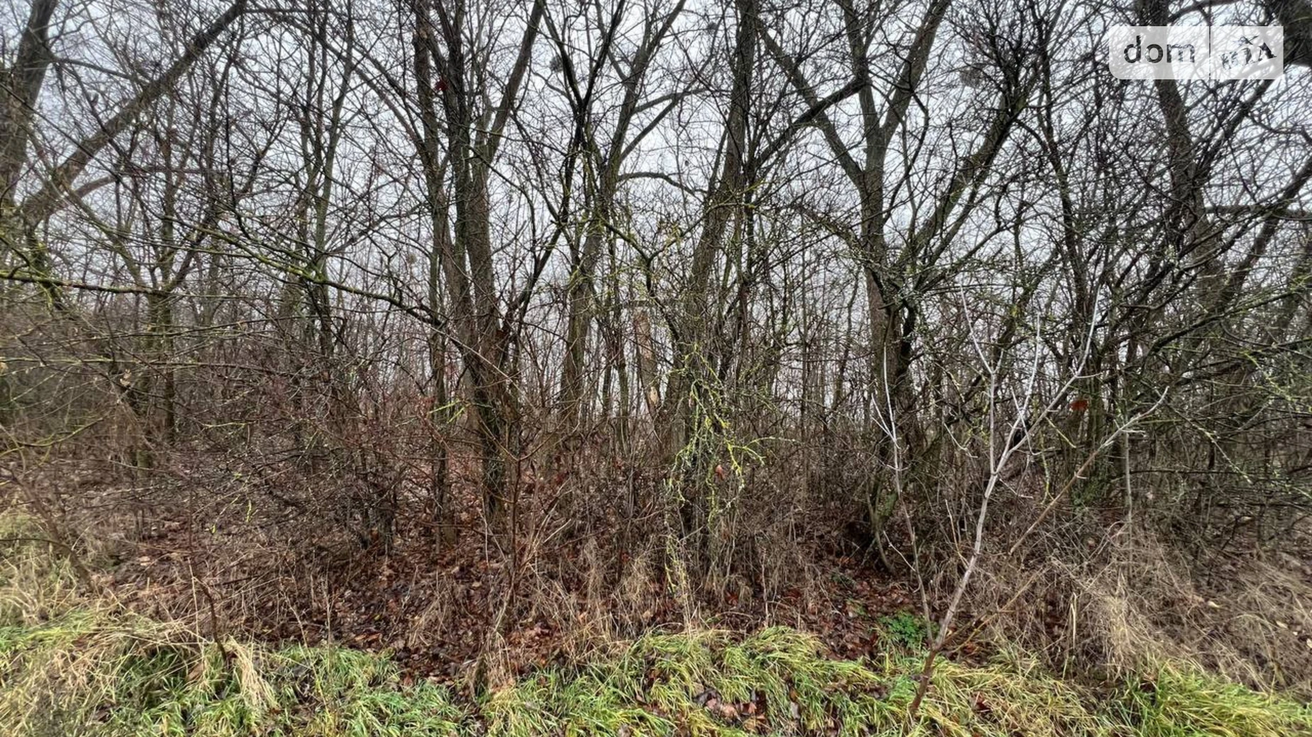 Продается земельный участок 6 соток в Винницкой области, цена: 25000 $ - фото 4