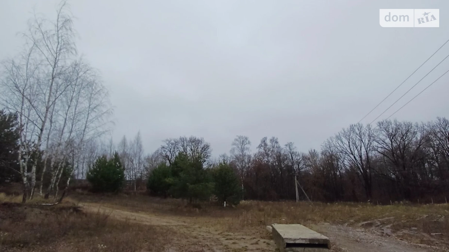 Продается земельный участок 23.88 соток в Ровенской области, цена: 99900 $ - фото 4