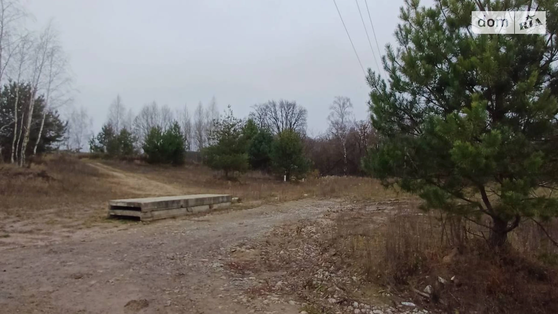 Продается земельный участок 23.88 соток в Ровенской области, цена: 99900 $ - фото 5
