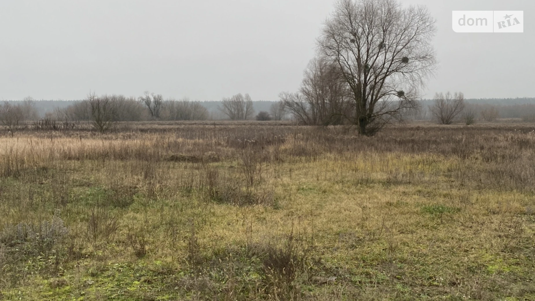 Продается земельный участок 6 соток в Киевской области, цена: 9800 $ - фото 4