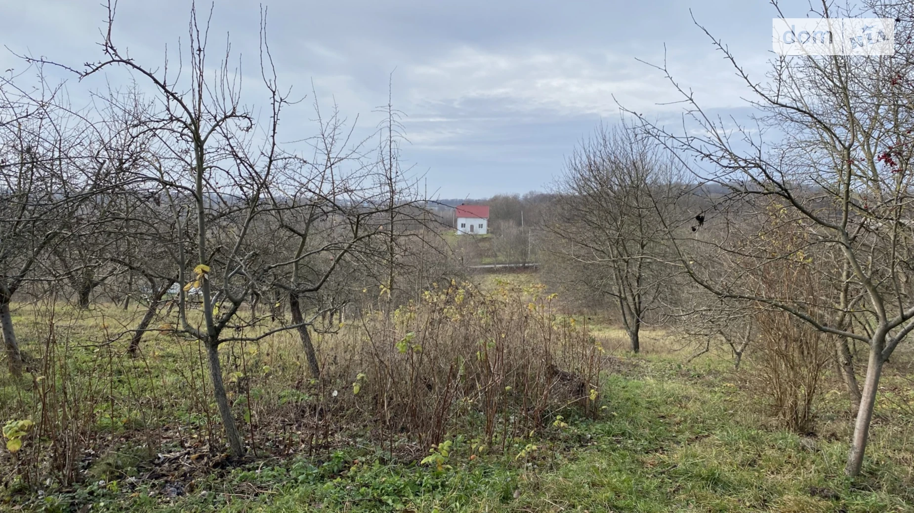 Продается земельный участок 60 соток в Винницкой области, цена: 62000 $ - фото 3