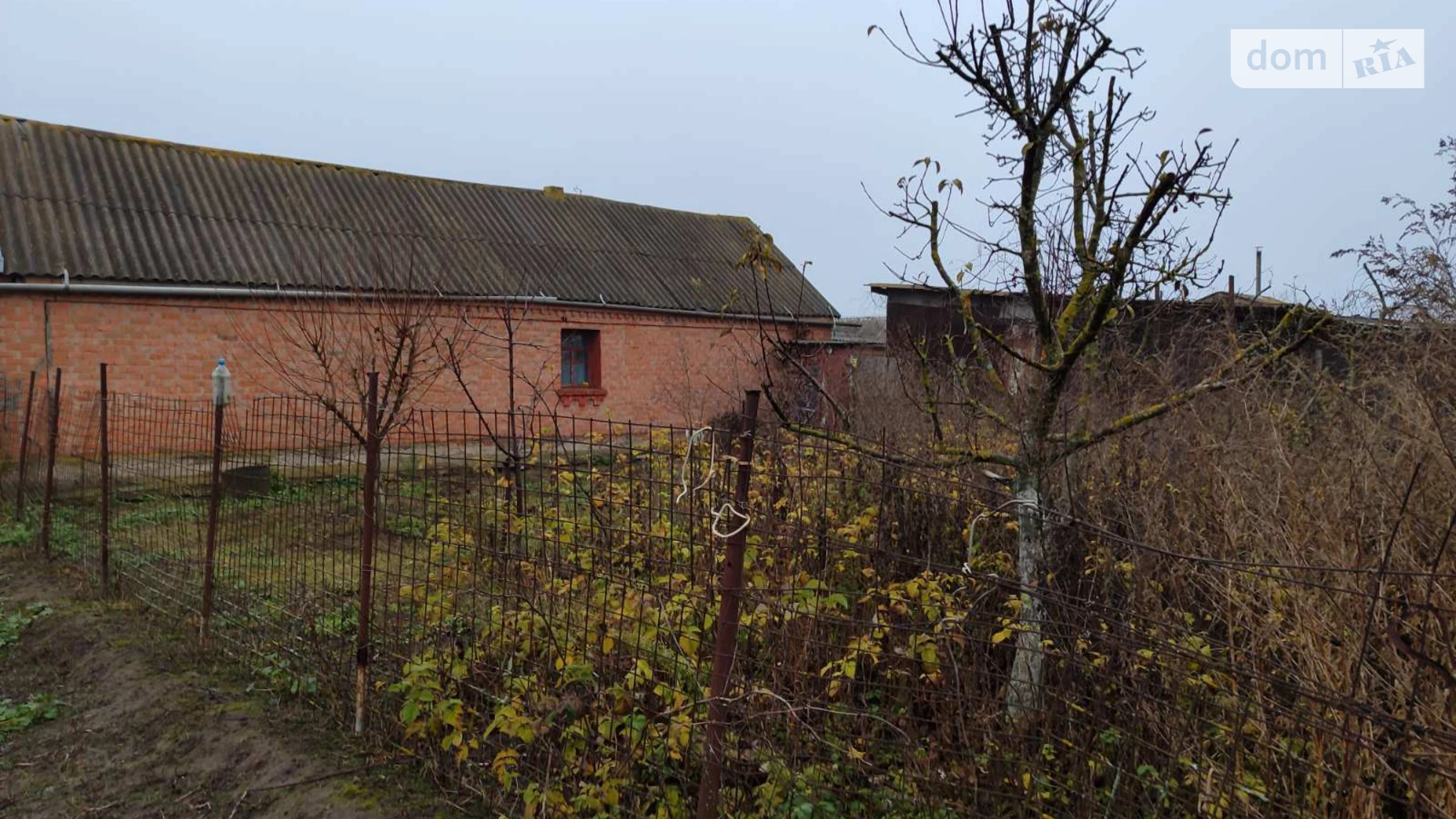 Продається одноповерховий будинок 85 кв. м з банею/сауною, цена: 30000 $ - фото 3