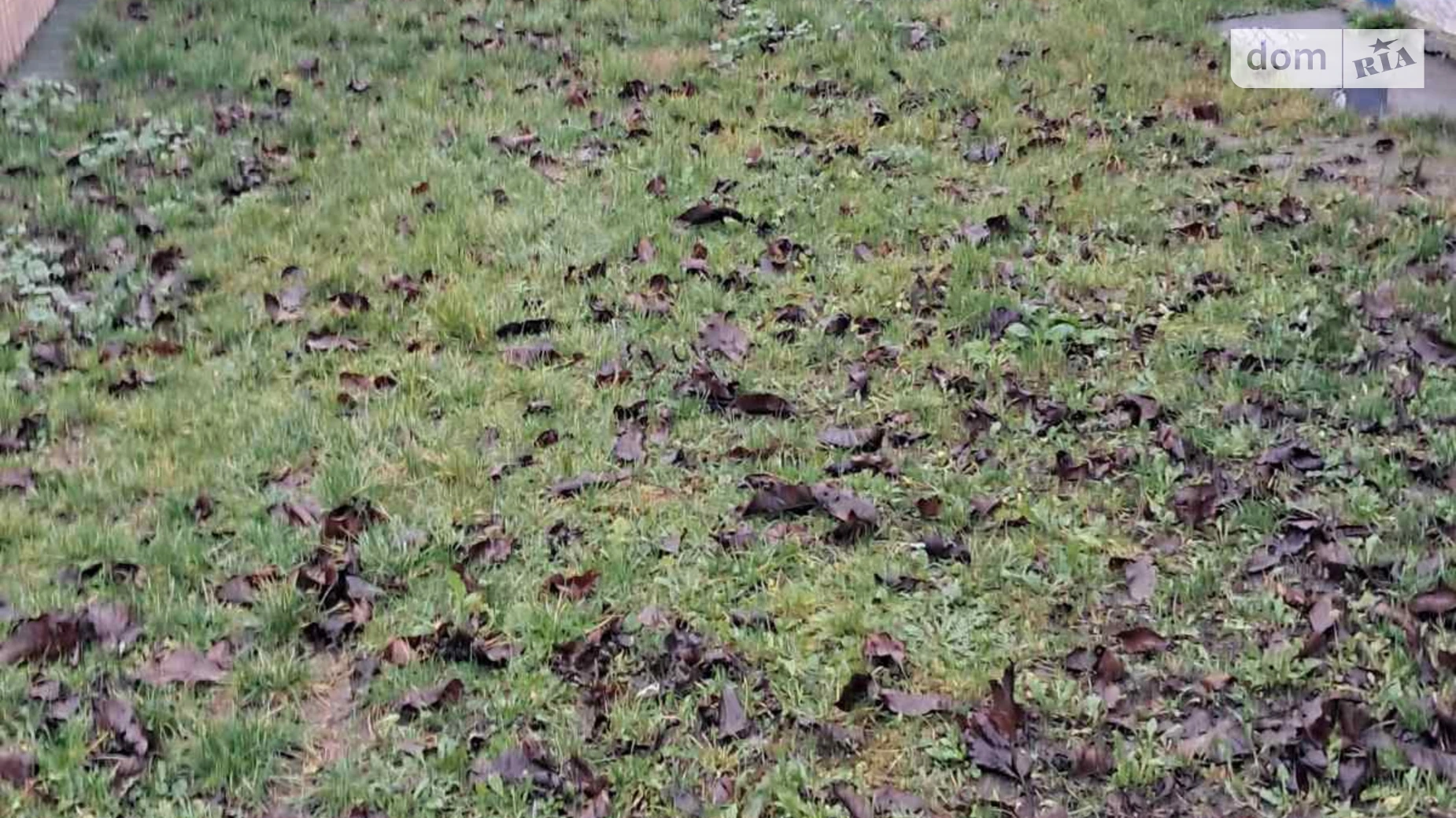 вулиця Колгоспна Стадница, цена: 9000 $ - фото 5