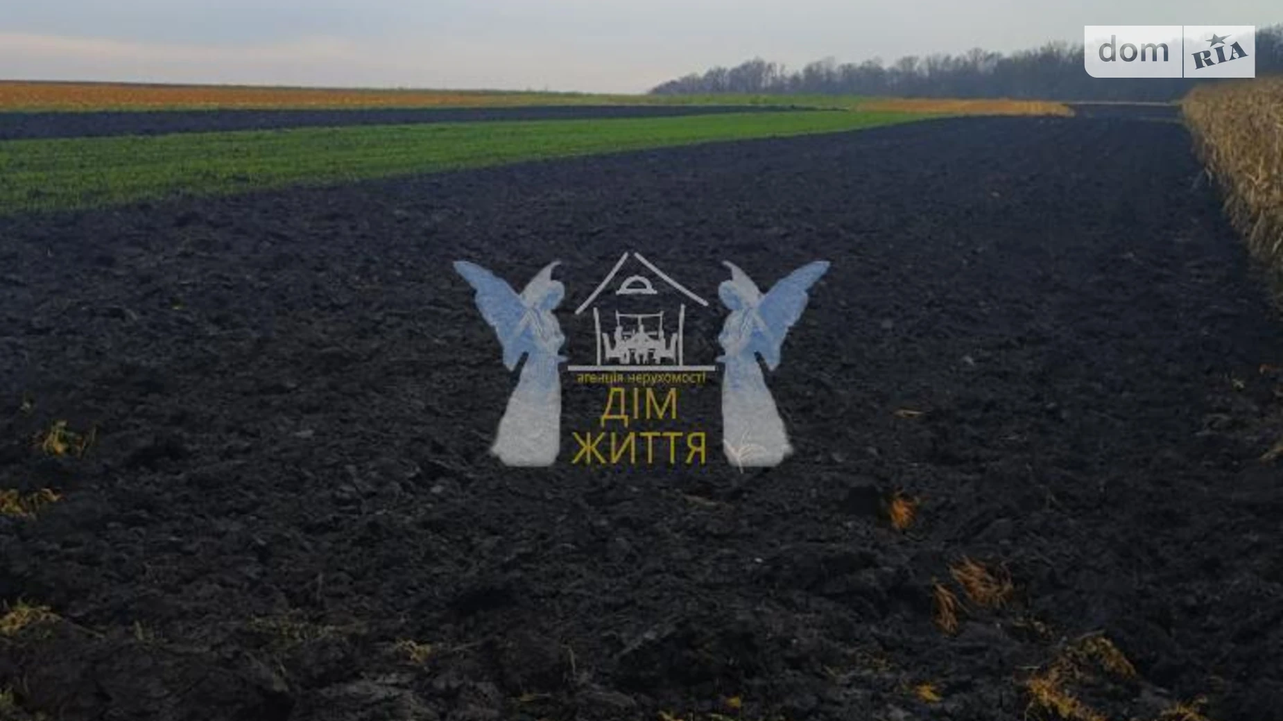 Продается земельный участок 9 соток в Тернопольской области, цена: 6500 $ - фото 5