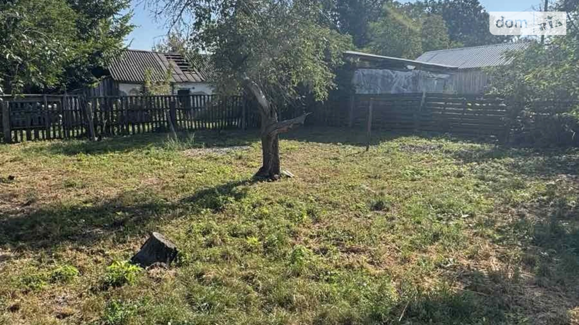 Сонячна Пшеничное, цена: 6000 $ - фото 4