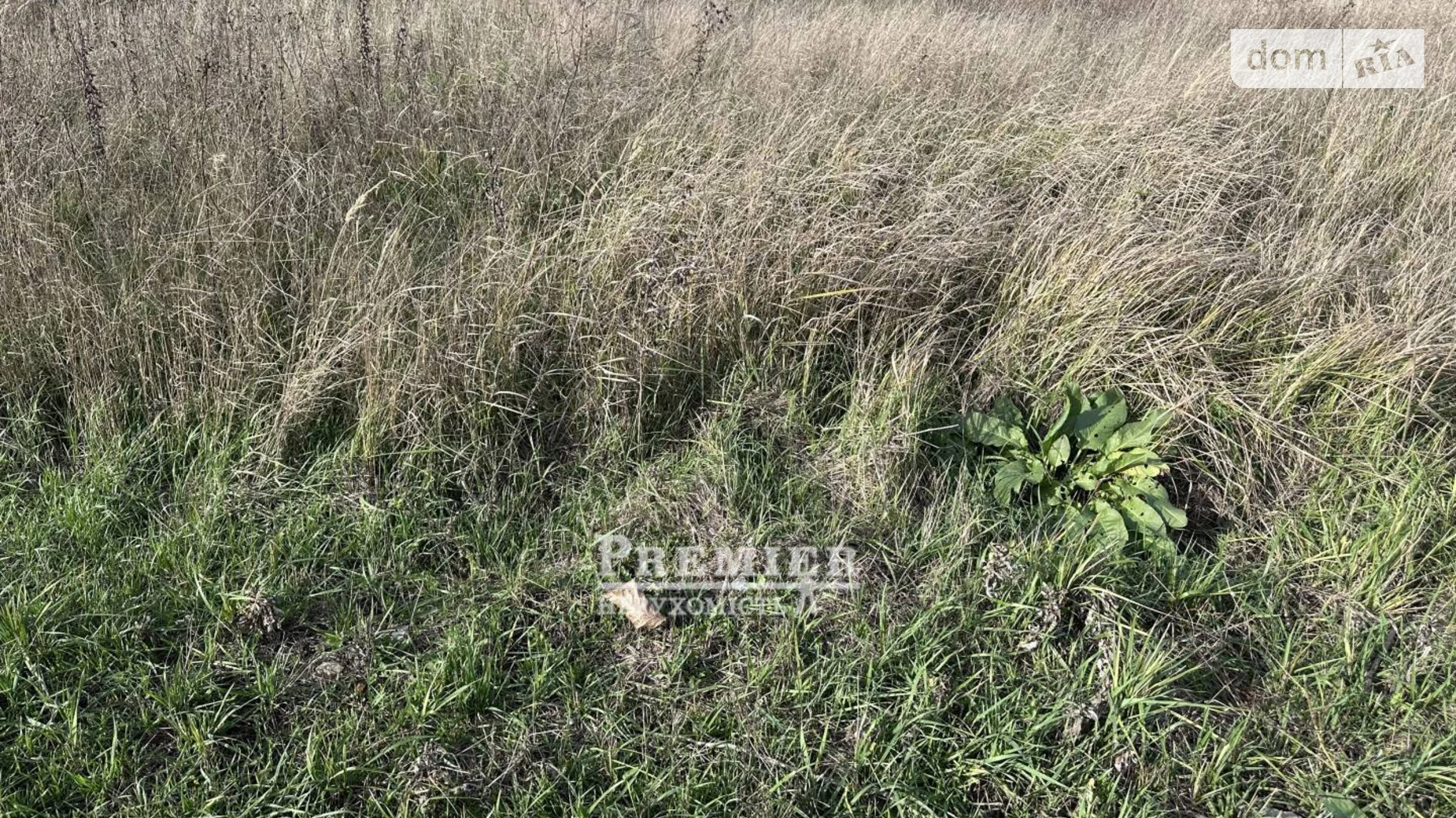 Молодежное, цена: 4000 $ - фото 2