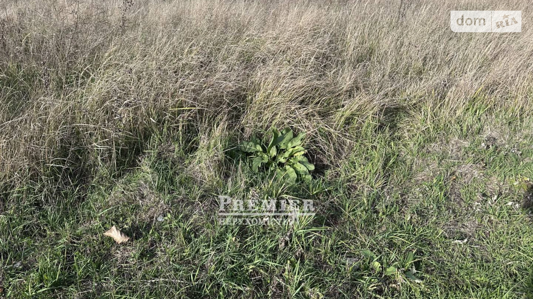 Молодежное, цена: 4000 $ - фото 5