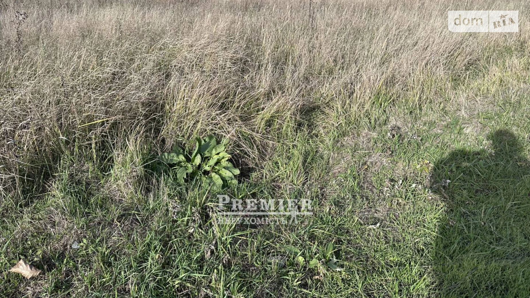 Молодежное, цена: 4000 $ - фото 4