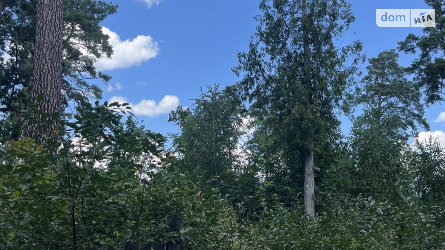 Продается земельный участок 38 соток в Киевской области, цена: 400000 $ - фото 5