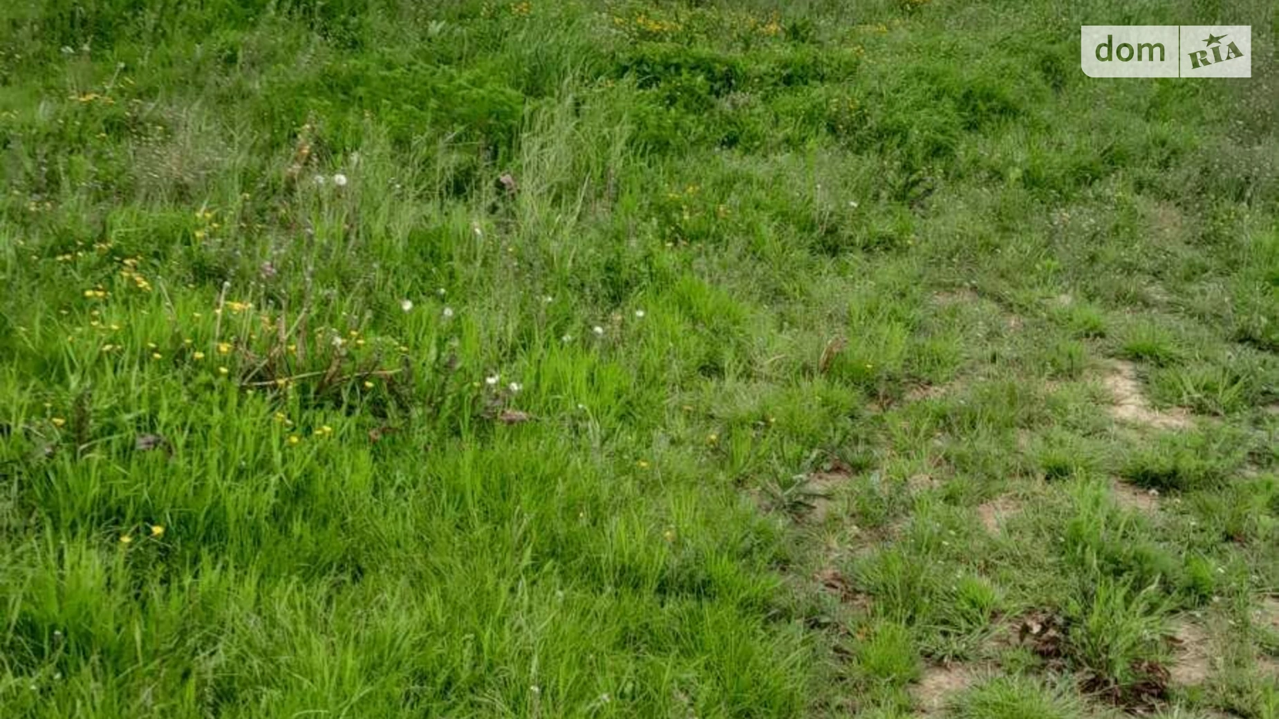 Гузеев, цена: 18009 грн - фото 2